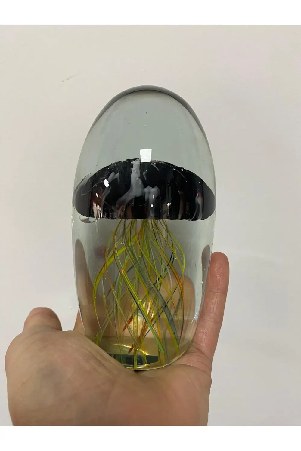 Cam Dekor Deniz Anası Dekoratif Obje