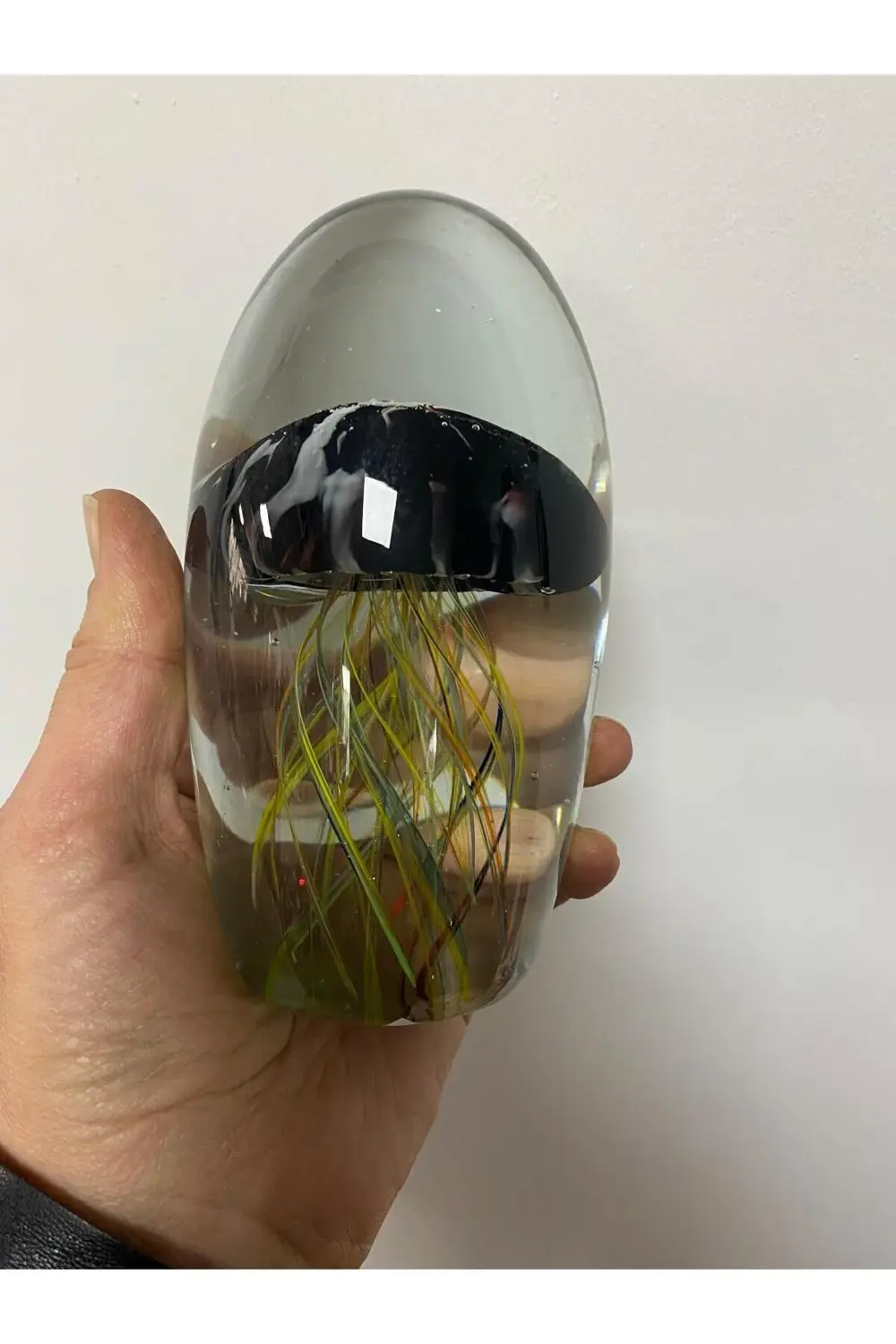 Cam Dekor Deniz Anası Dekoratif Obje