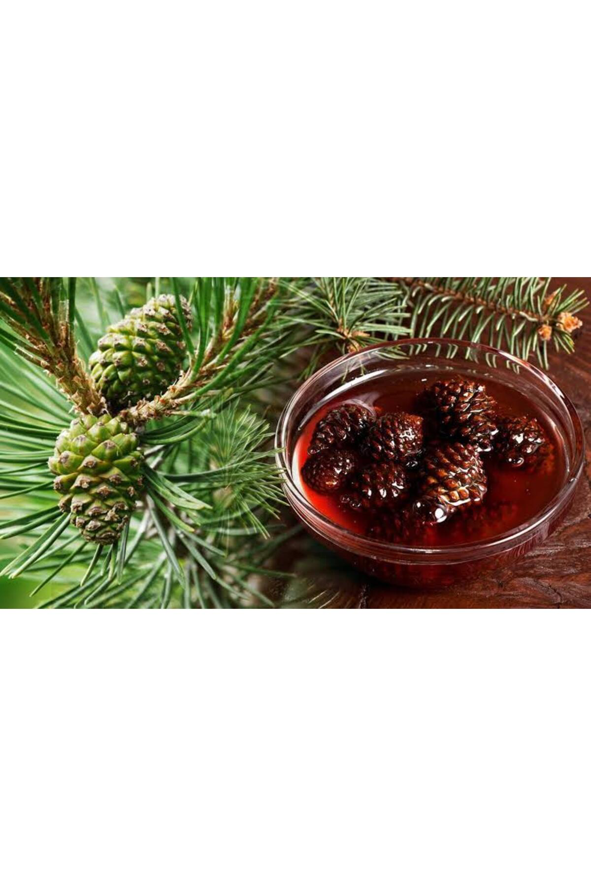 Tarımsal Ve Hayvansal Ürünler Çam Kozalak Pekmez Yapma Toprağı