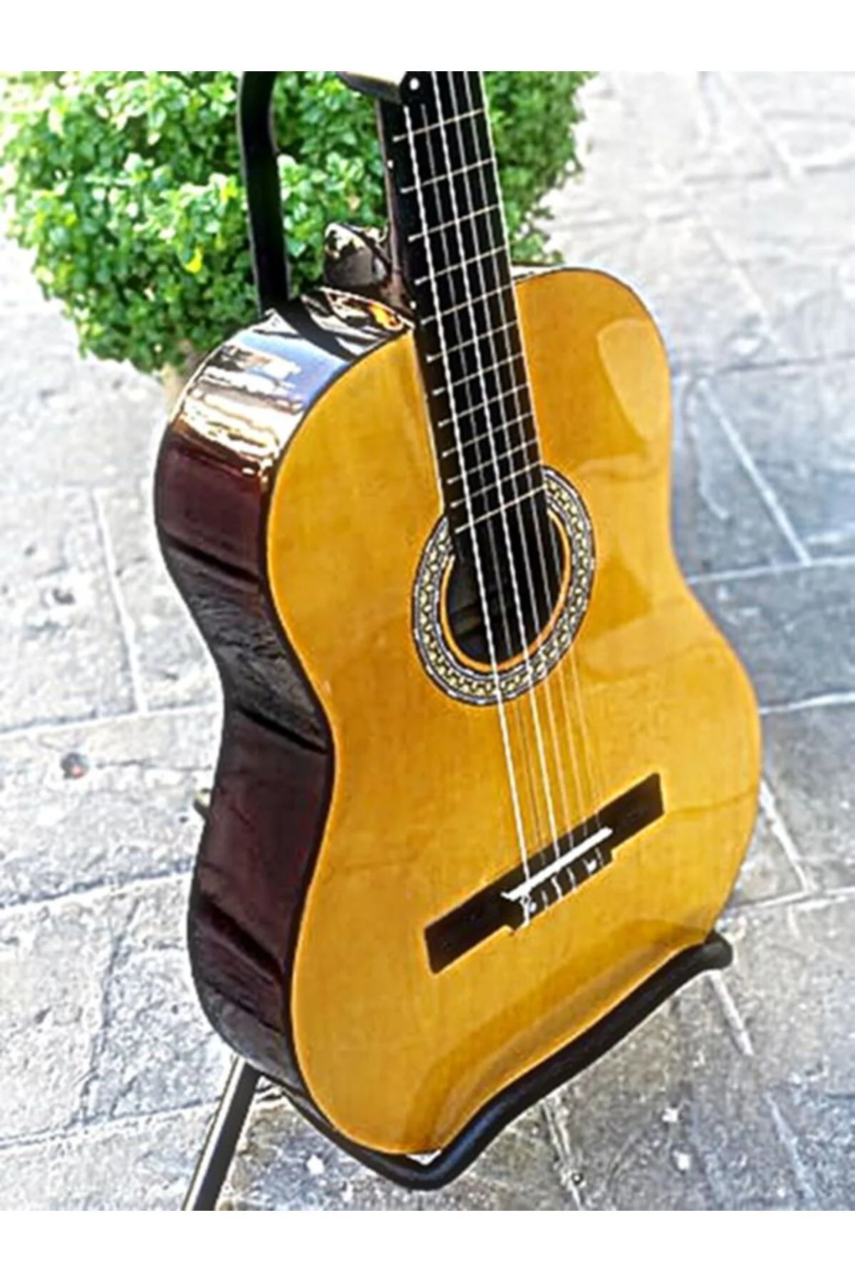 Campbel Naturel Kalasik Gitar (sap ayarlı)