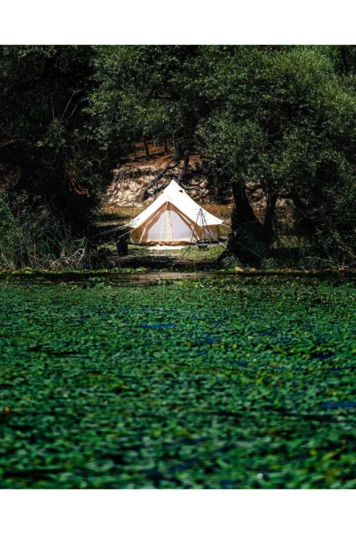 Campout Büyük Kamp Çadırı 4 Mt
