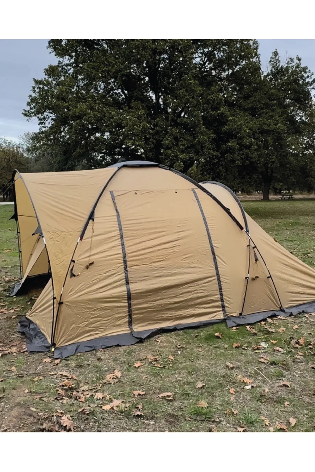 CAMPOUT FAMILY MAXI ÇADIR GOLD