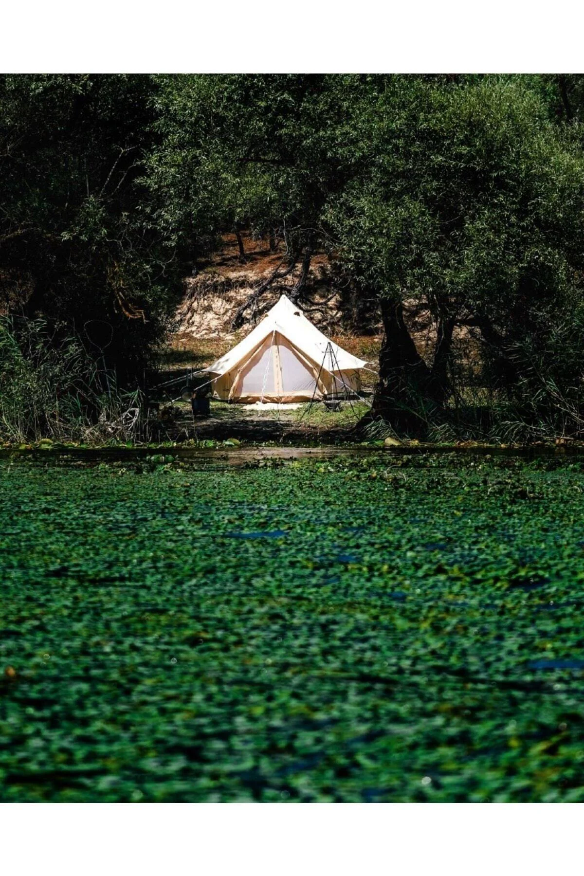 Campout Kanvas Çadır 4 Mt
