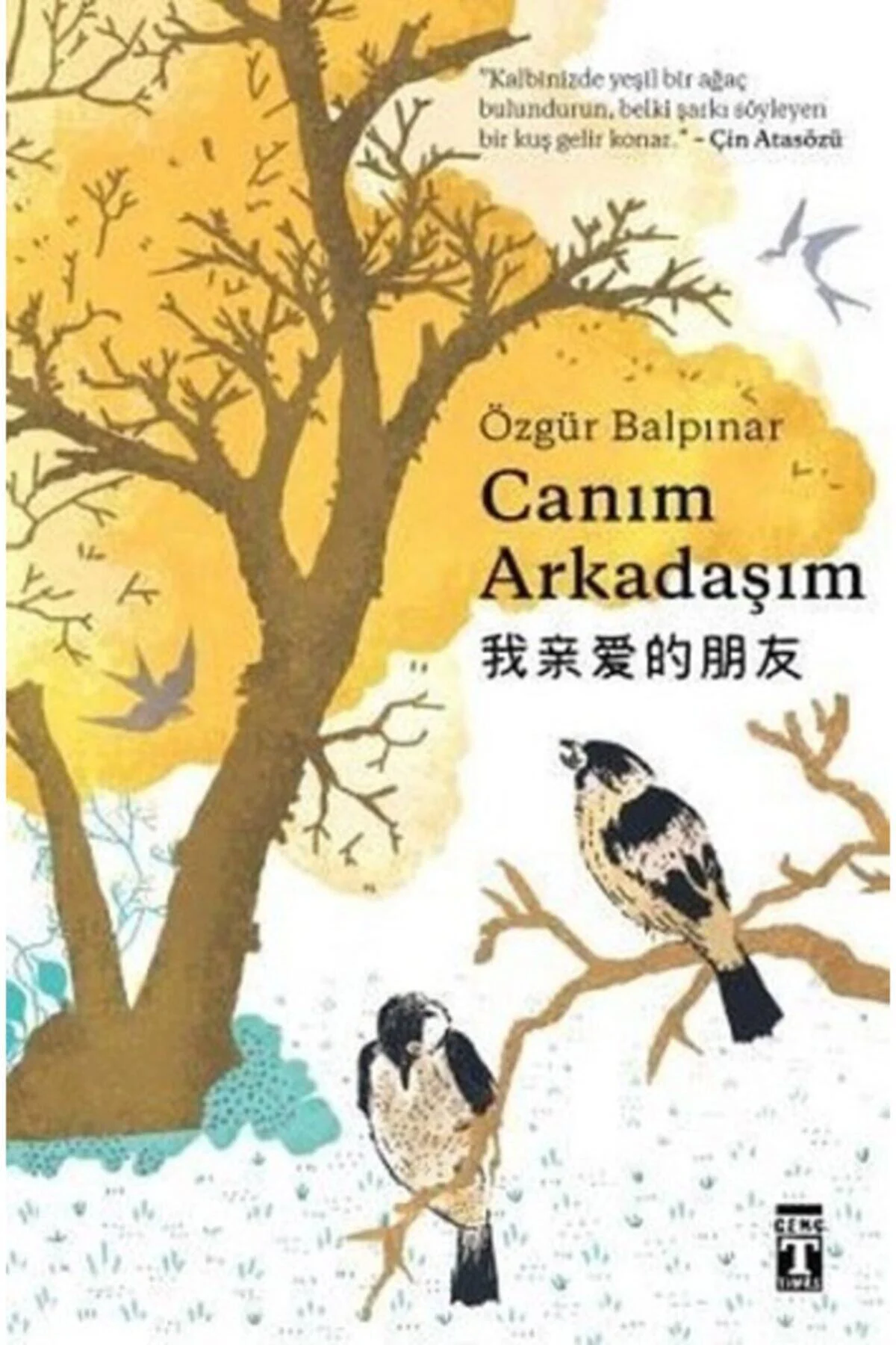 Canım Arkadaşım - Özgür Balpınar -