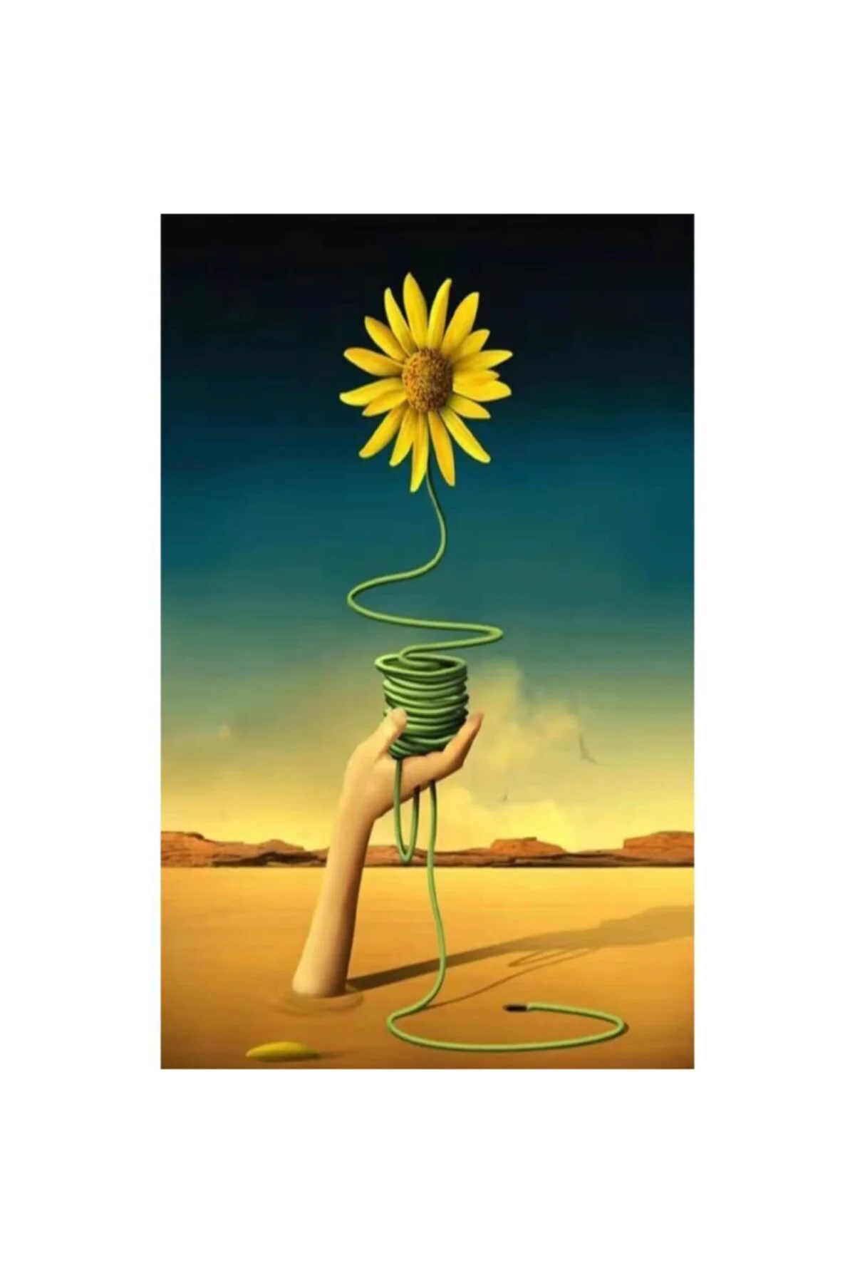 Canvas Arnika Sayılarla Boyama Seti  Kasnaklı 60 x 75 cm