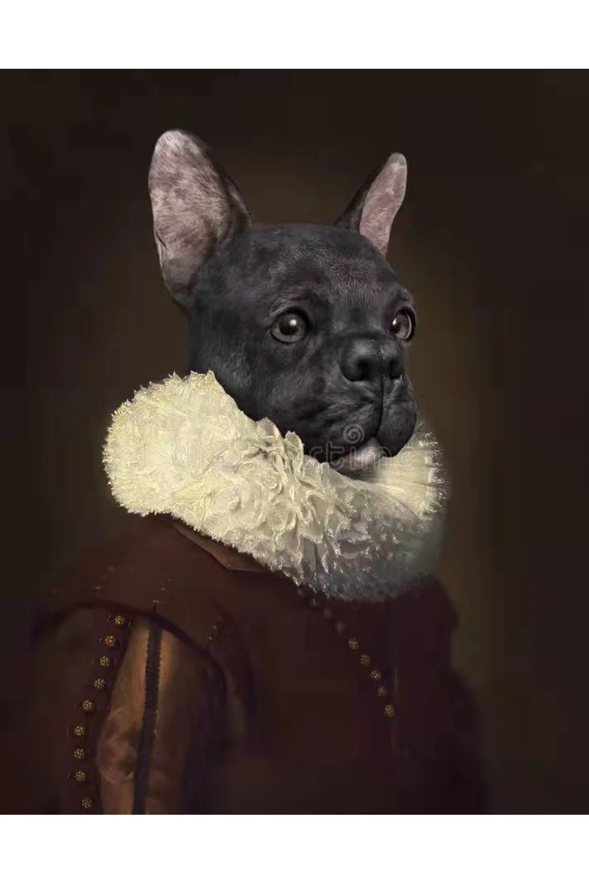 Canvas Asil Köpek Sayılarla Boyama Seti KASNAKLI DUVARA ASILABİLİ