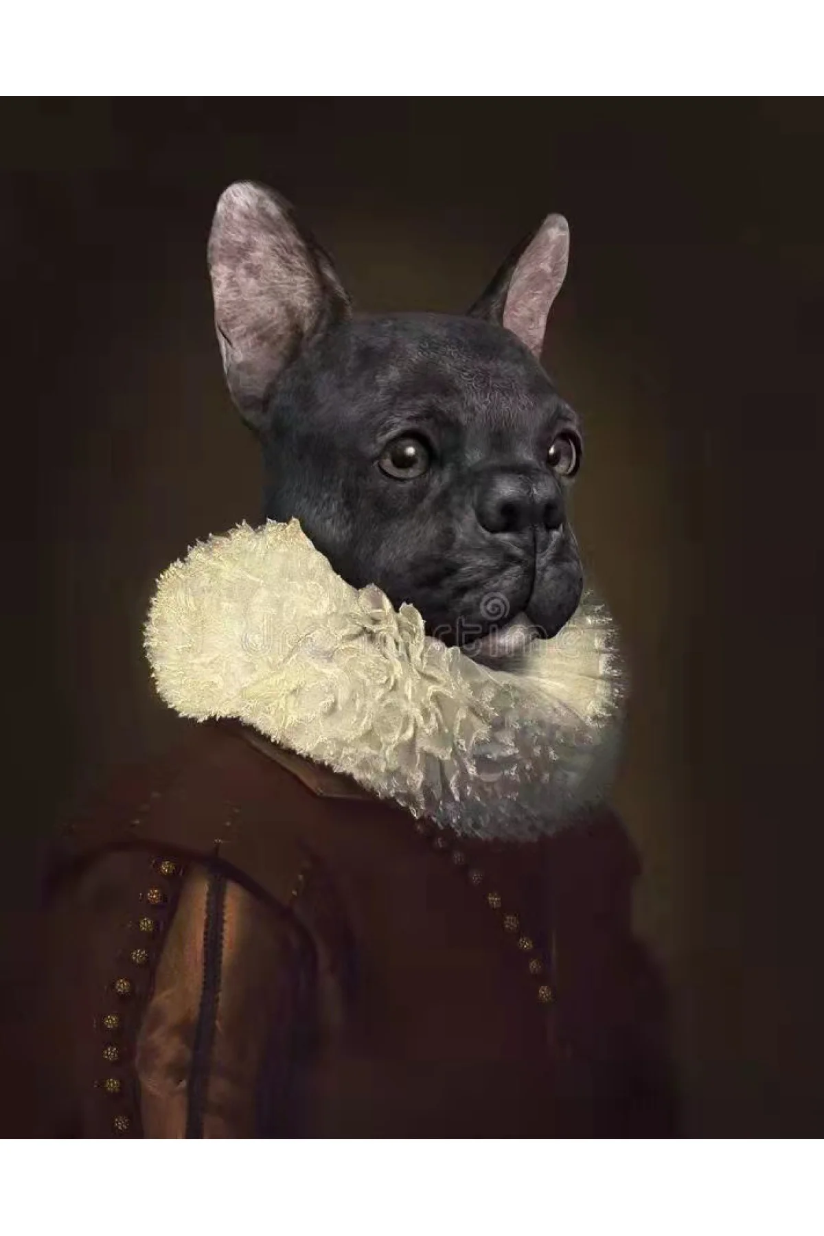 Canvas Asil Köpek Sayılarla Boyama Seti KASNAKLI DUVARA ASILABİLİ