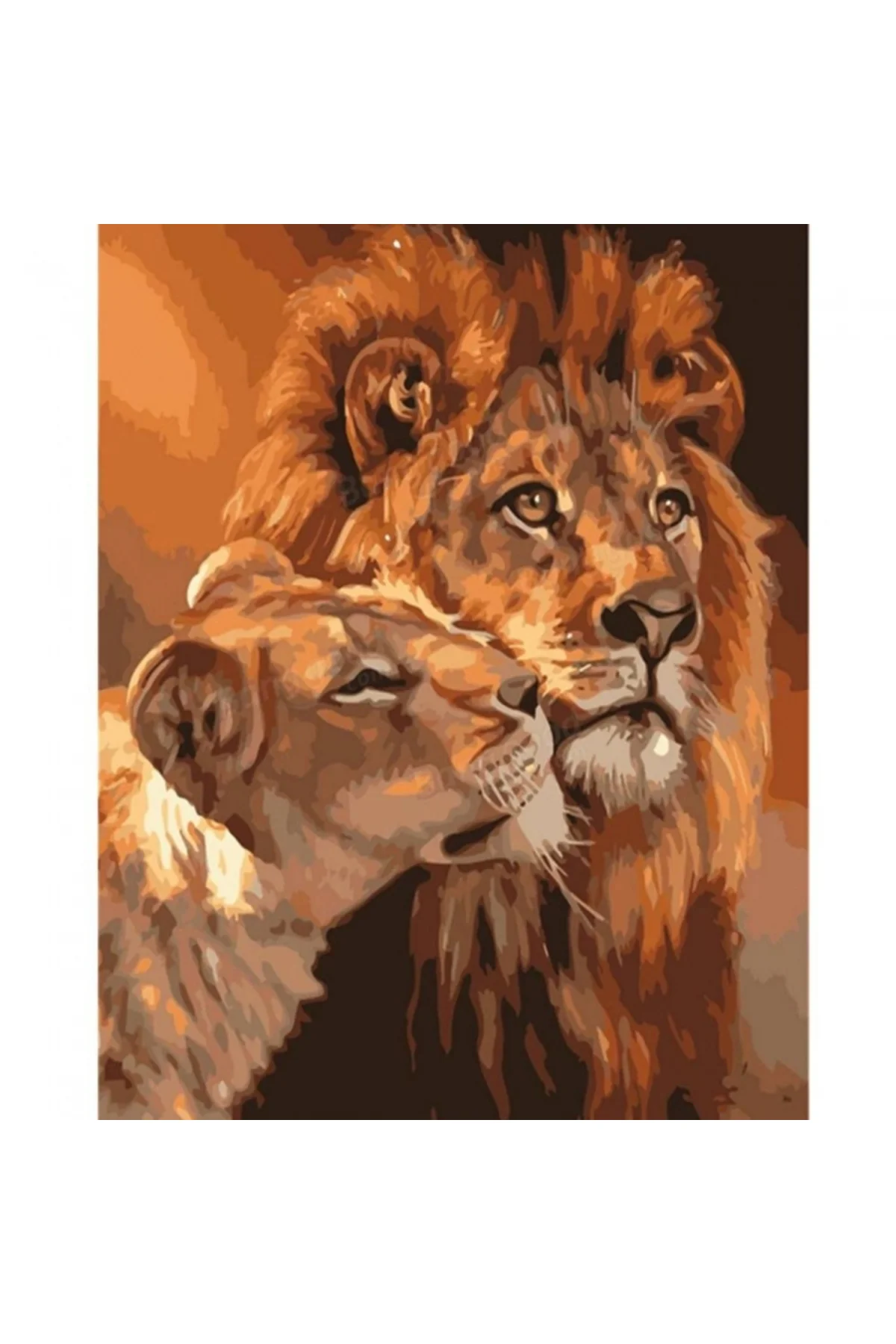 Canvas Aslanların Aşkı Sayılarla Boyama Seti Kasnaklı 60 x 75 cm Canvas Aslanların Aşkı Sayılarla Boyama Seti Kasnaklı 60 x 75 cm