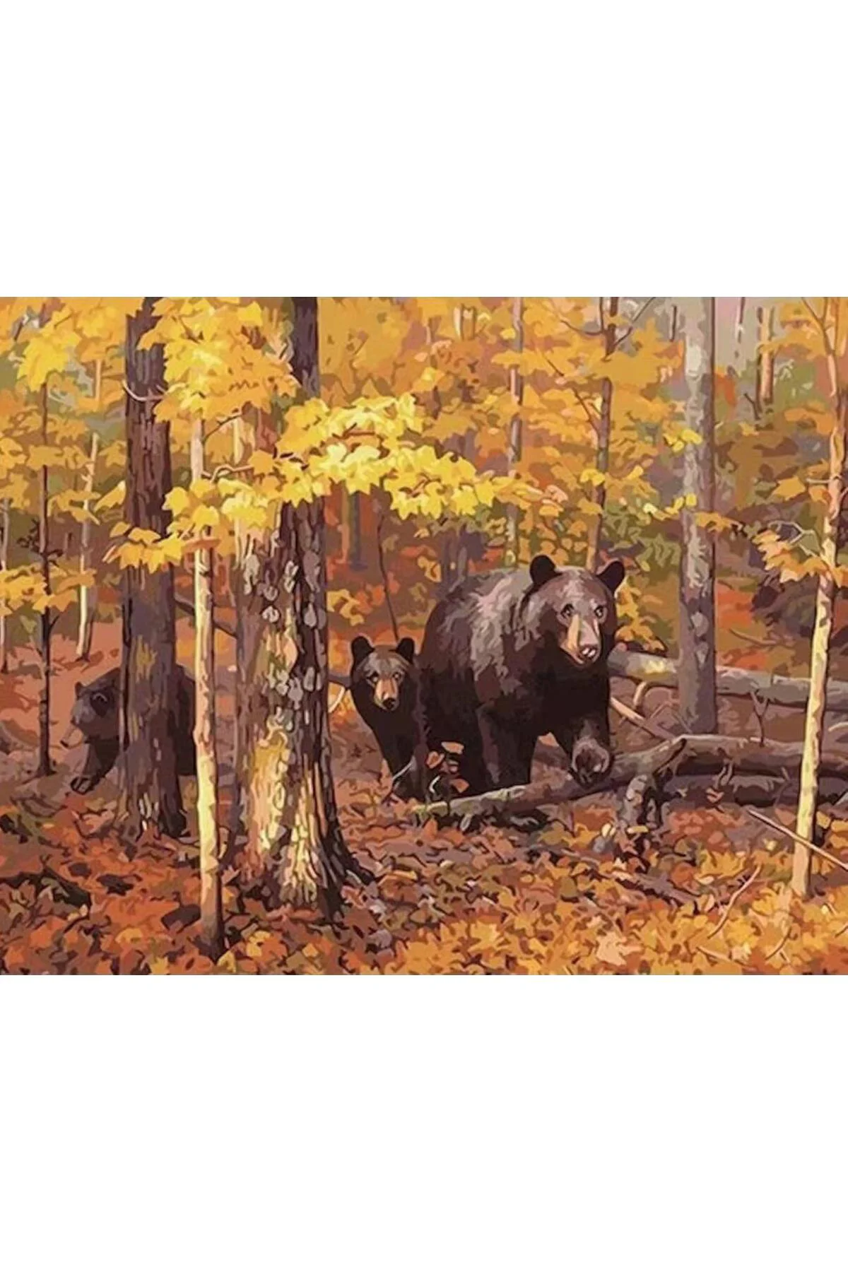 Canvas Ayı Ailesi Sayılarla Boyama SetiRulo