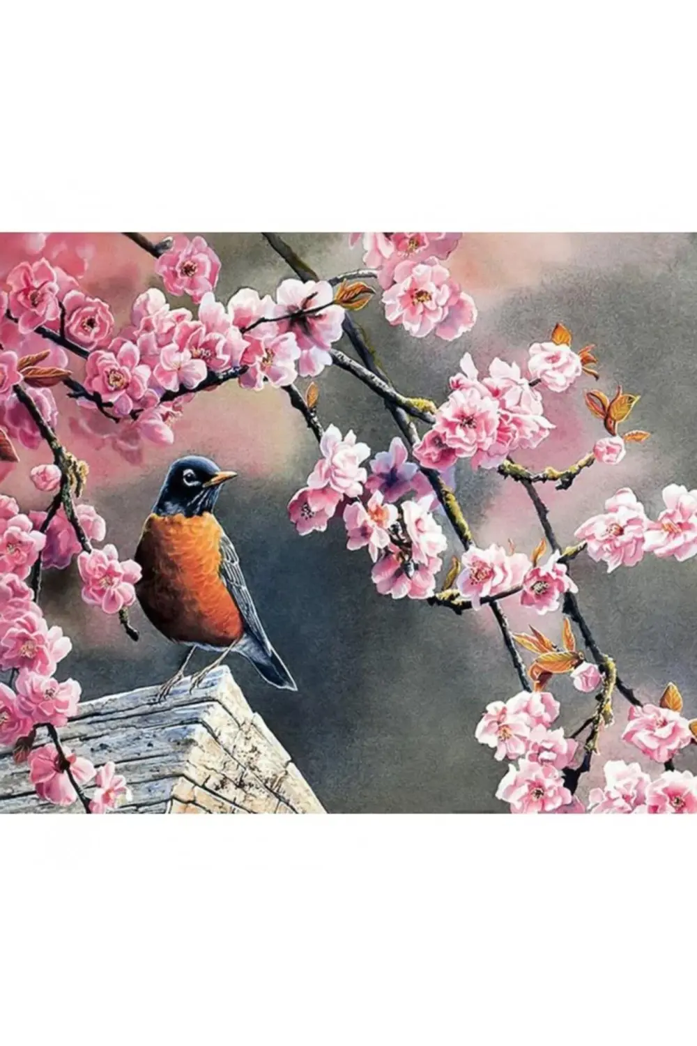 Canvas Bahar ve Kuşlar 2 Sayılarla Boyama Seti KASNAKLI ÇERÇEVELİ