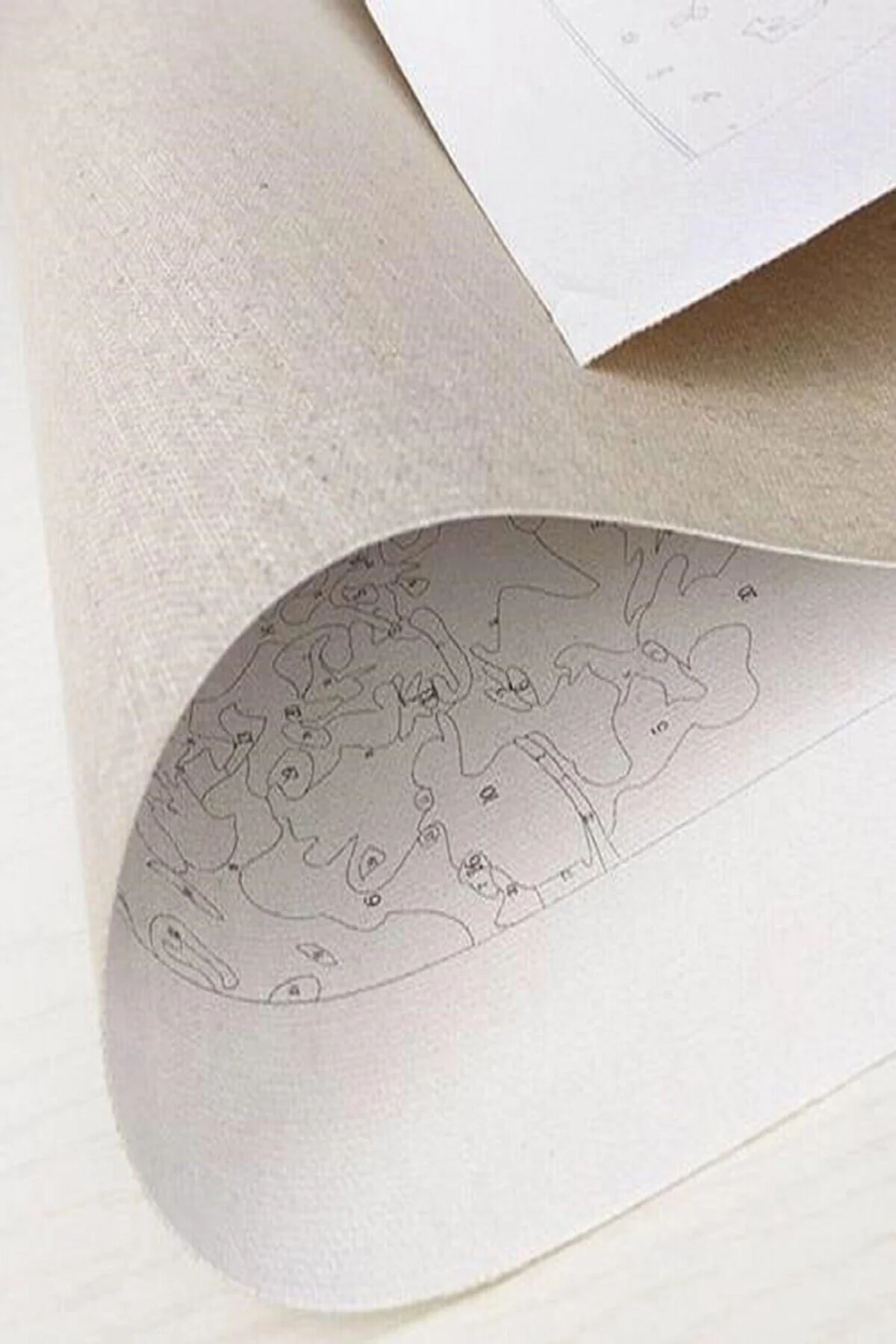 Canvas Başak ve Gelincik Renkli Sayılarla Boyama Seti KASNAKLI DU