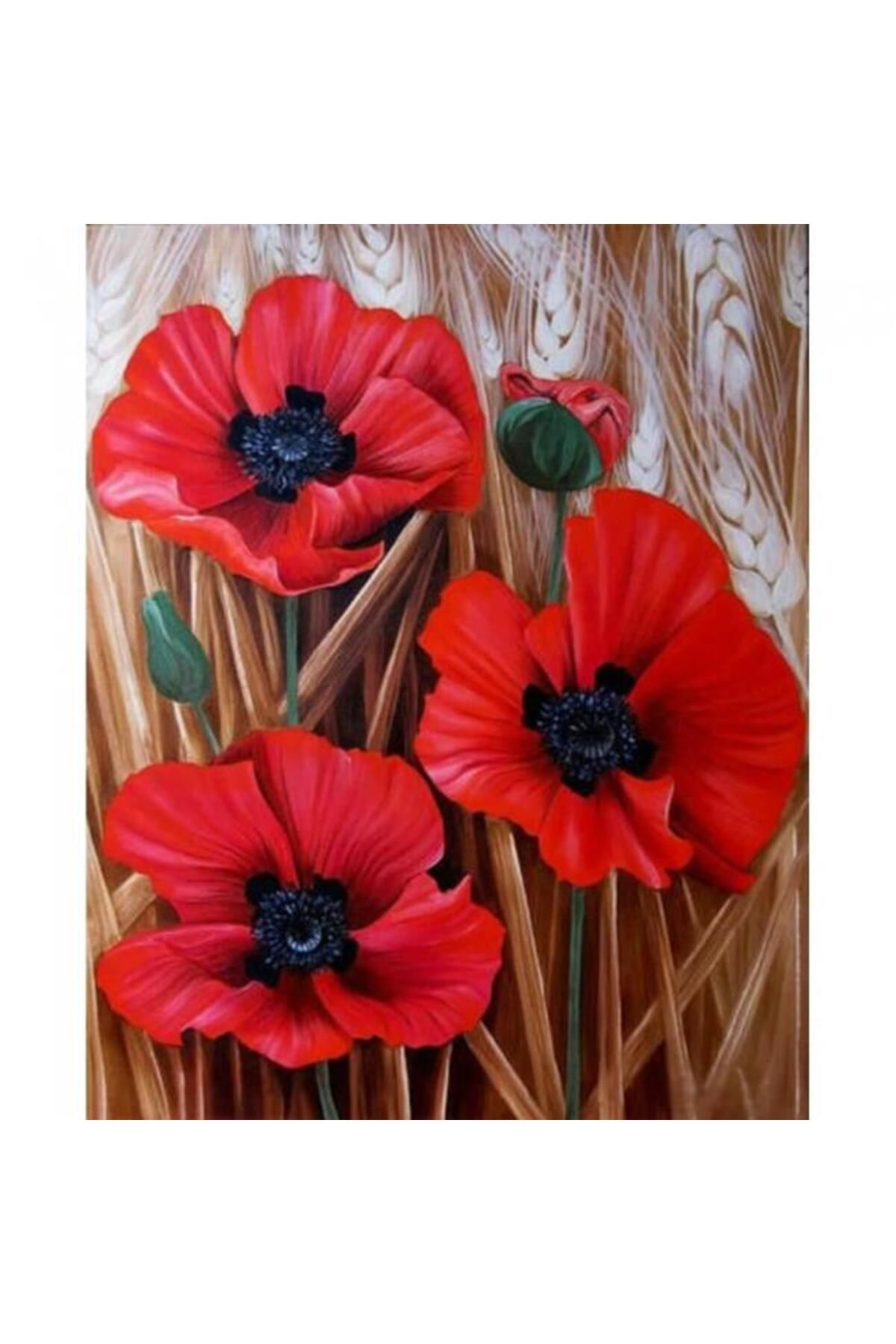 Beruflic Canvas Başak Ve Gelincik Renkli Sayılarla Boyama Seti  Rulo