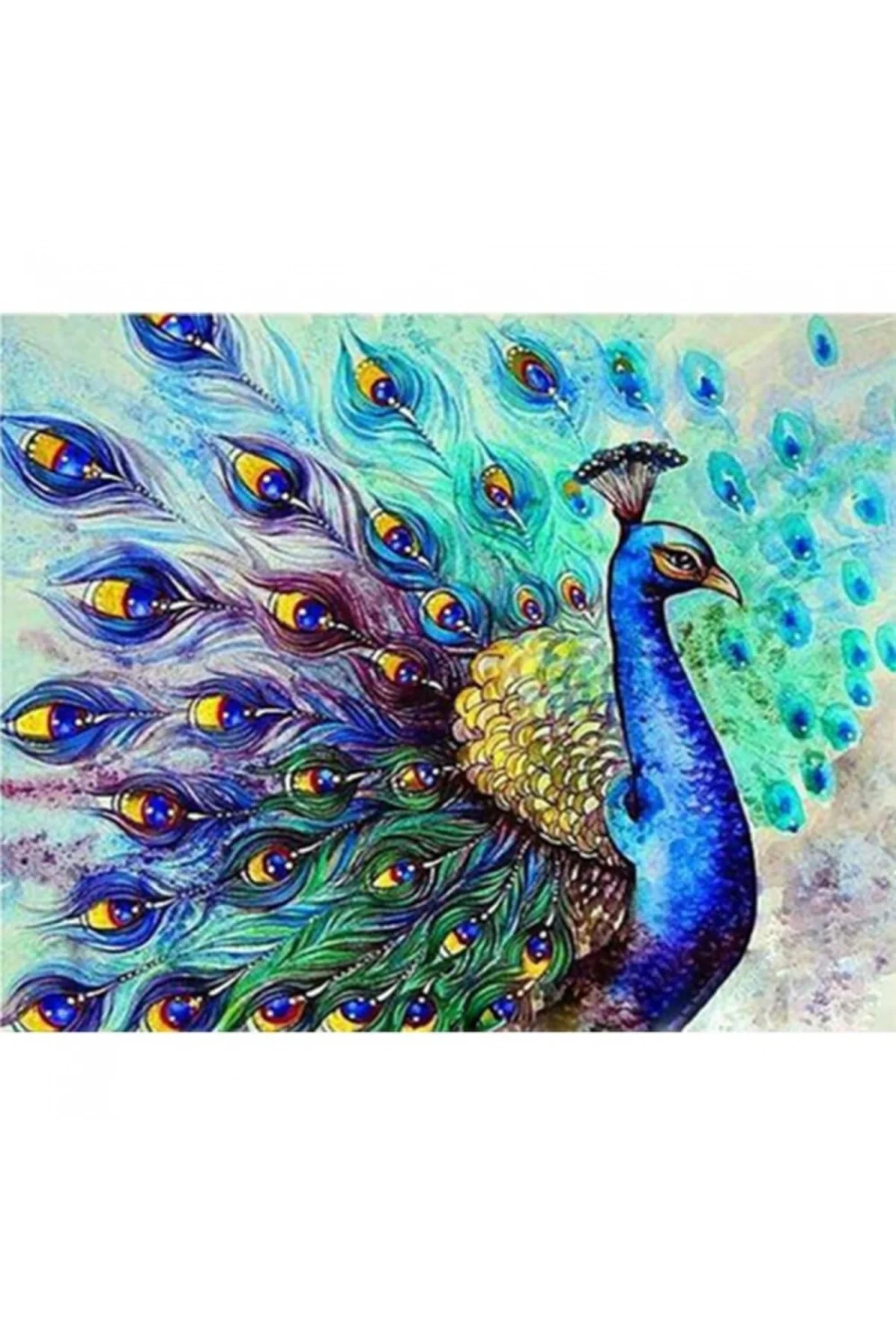 Canvas Bereket Tavus Kuşu Sayılarla Boyama Seti KASNAKLI DUVARA A
