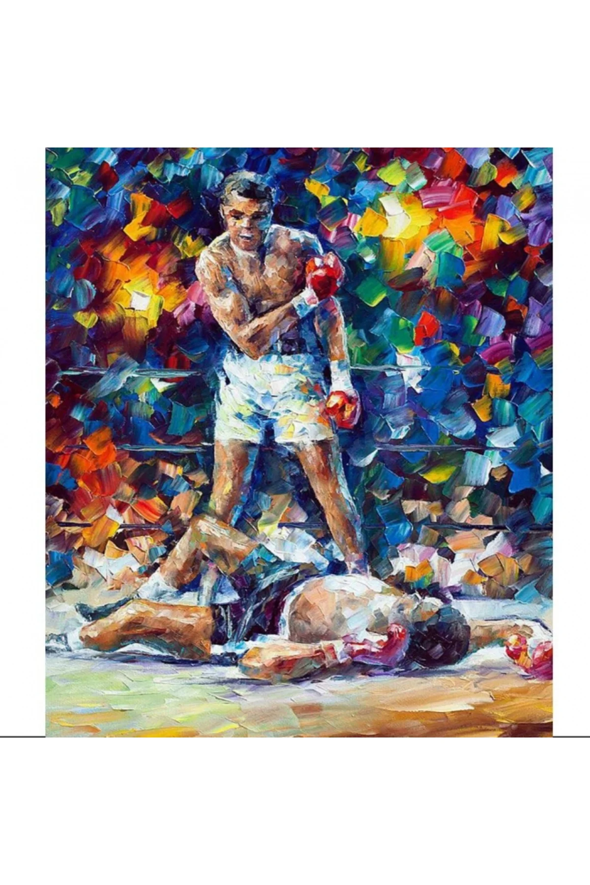 Canvas Boks Sayılarla Boyama Seti Çerçevesiz Rulo