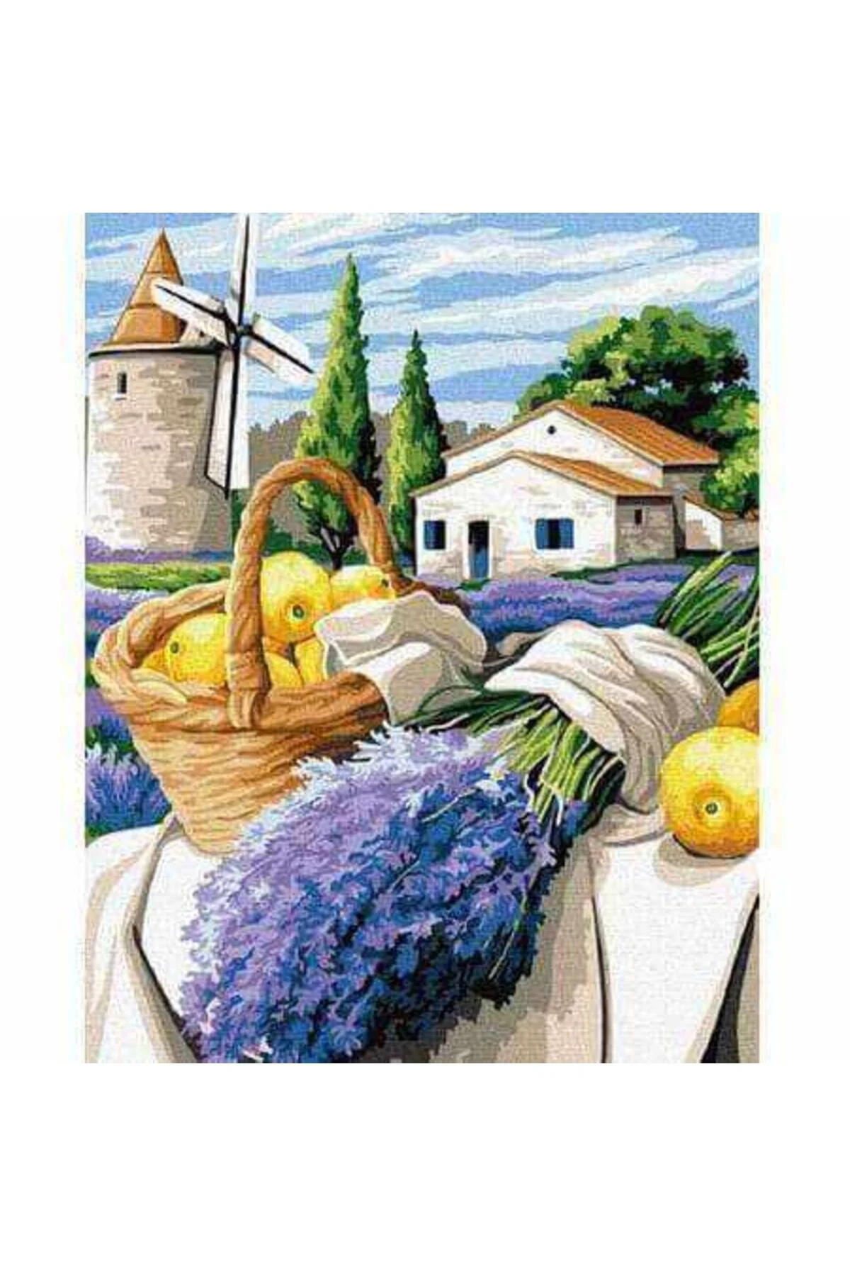 Canvas Değirmendeki Lavanta Sayılarla Boyama Seti  Kasnaklı 50 x 