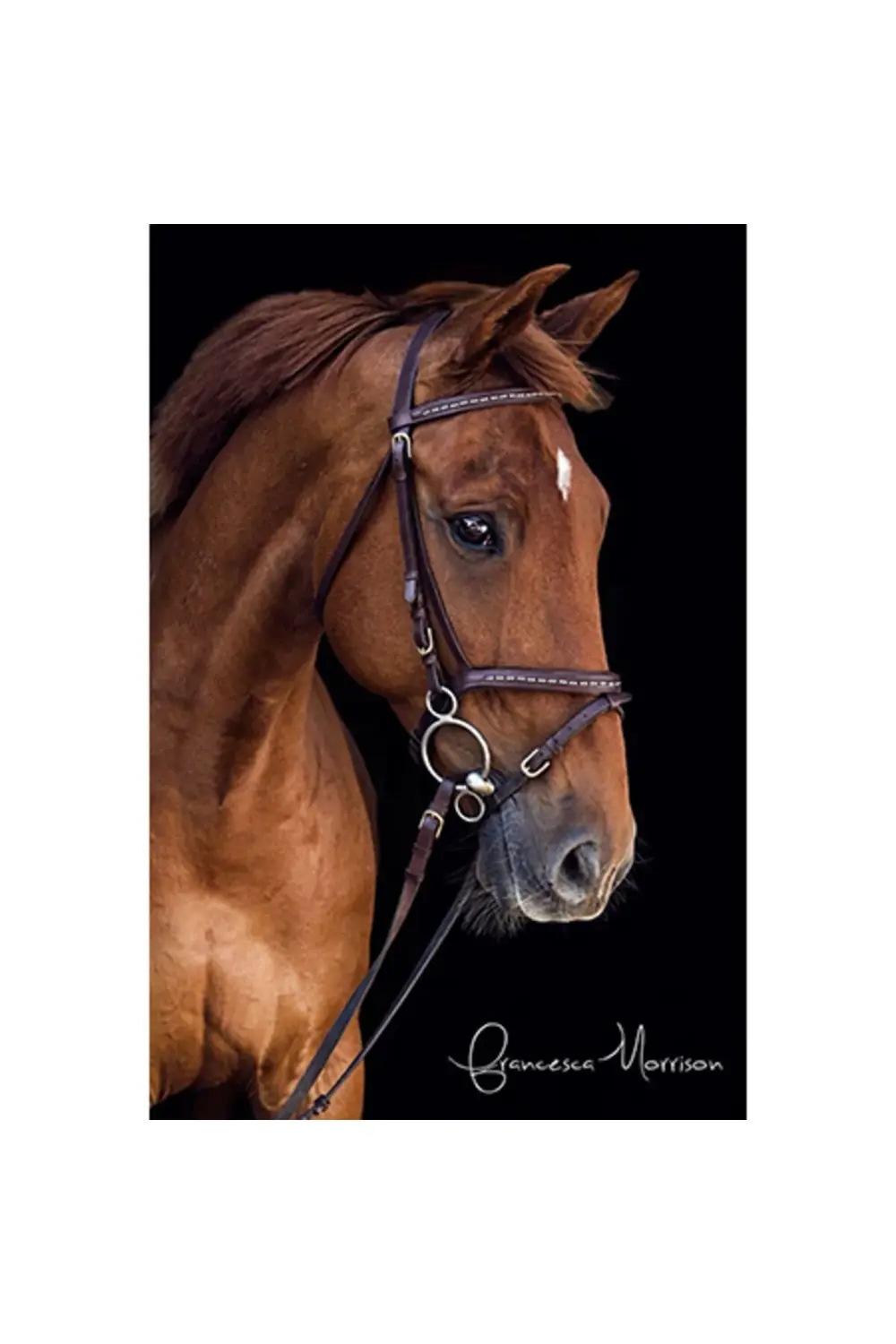 Canvas Derin Bakışlı At Sayılarla Boyama Seti KASNAKLI DUVARA ASI