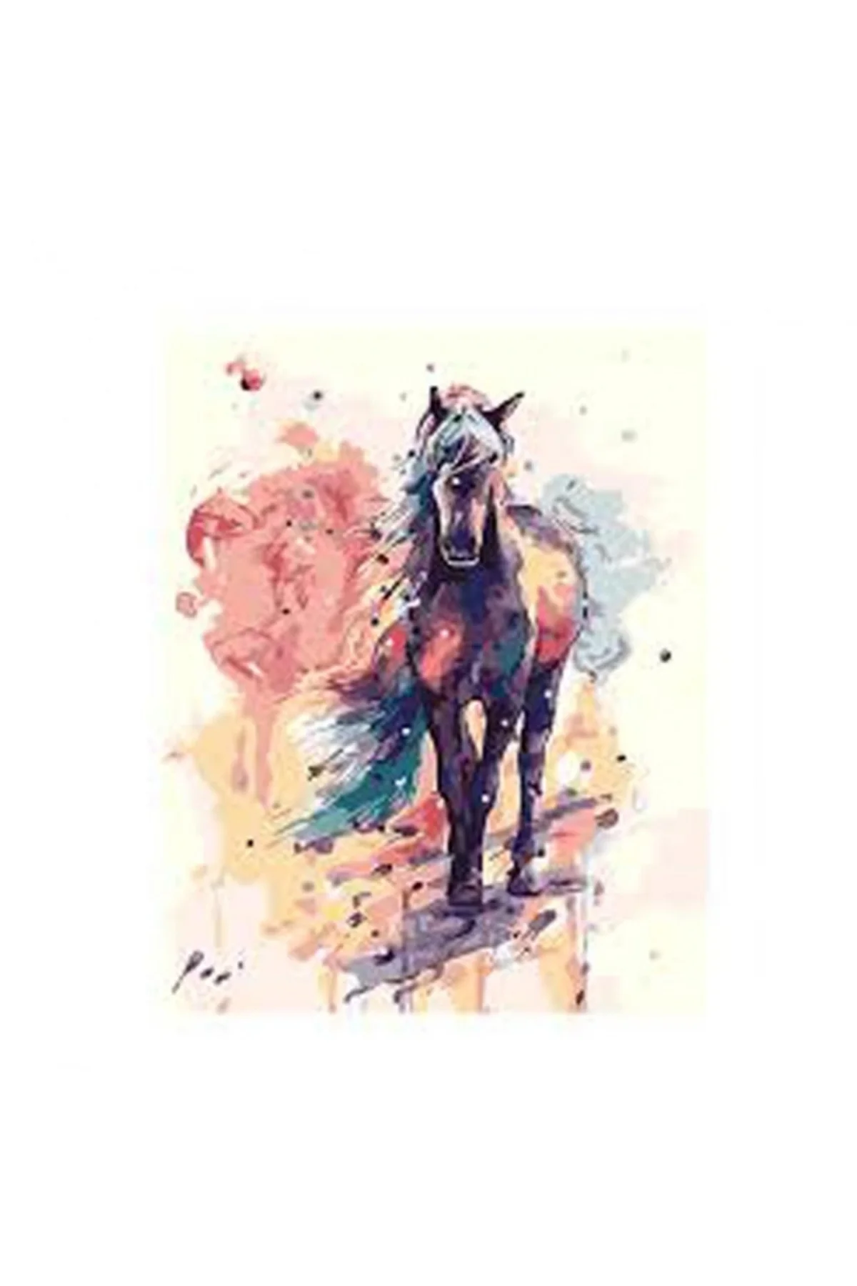 Canvas Düşlerdeki At Sayılarla Boyama Seti KASNAKLI DUVARA ASILAB