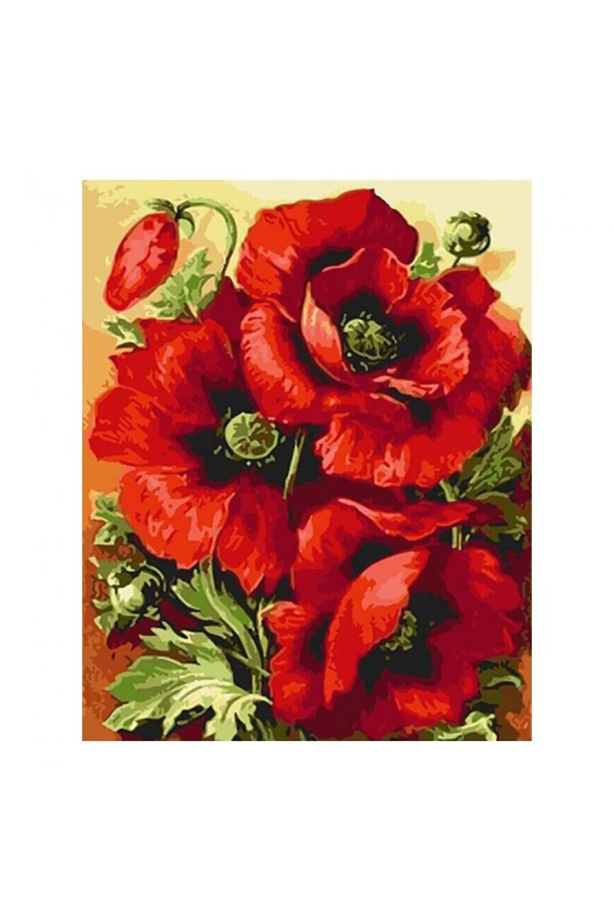 Canvas Gelincik Demeti Sayılarla Boyama Seti  Kasnaklı 50 x 65 cm