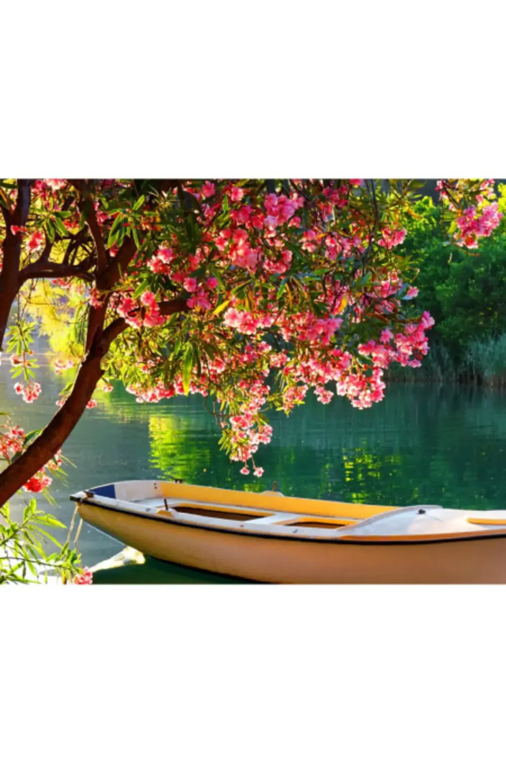 Canvas Göldeki Sandal Sayılarla Boyama Seti KASNAKLI ÇERÇEVELİ