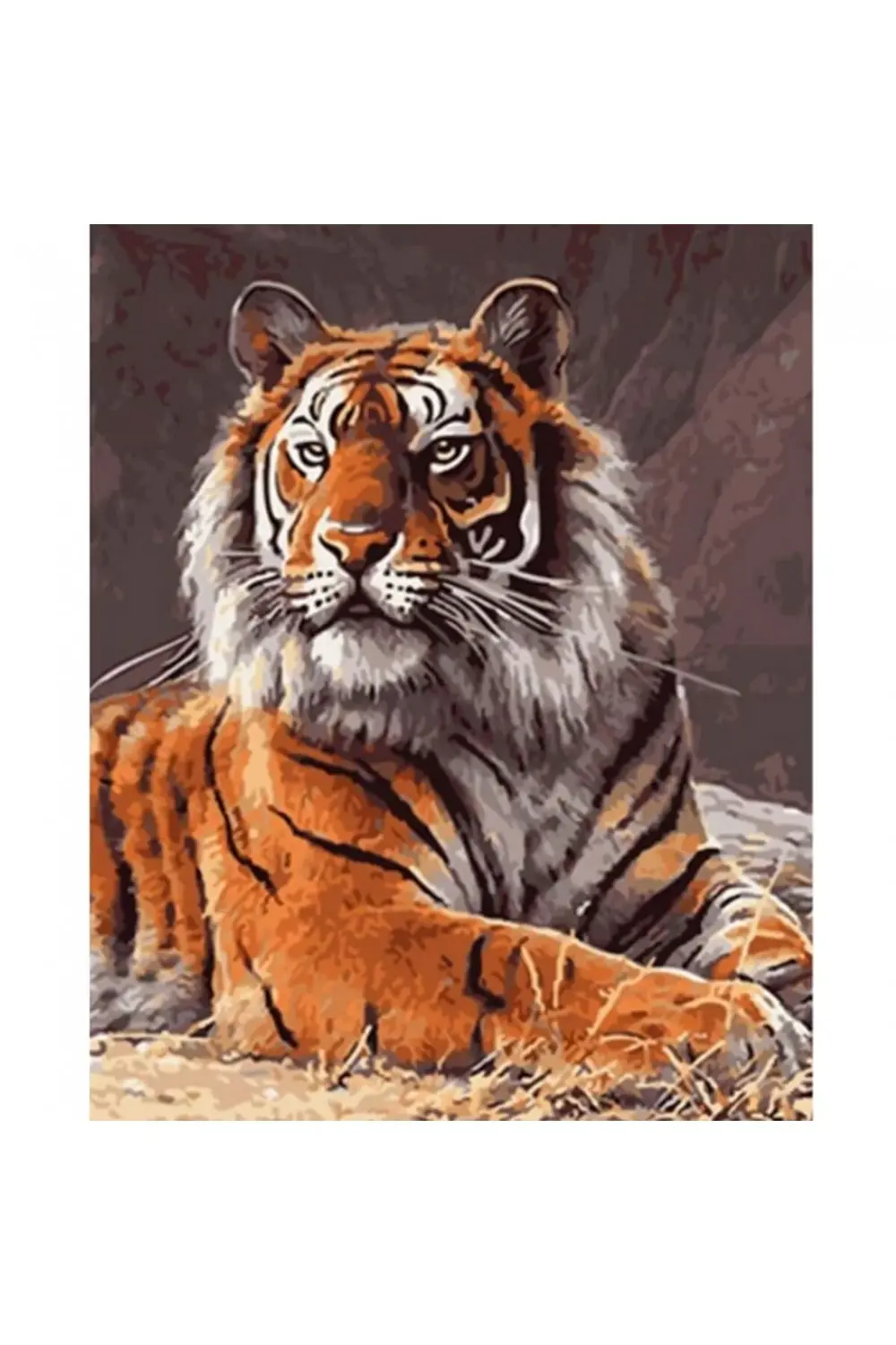 Canvas Güçlü Kaplan Sayılarla Boyama Seti KASNAKLI DUVARA ASILABİ