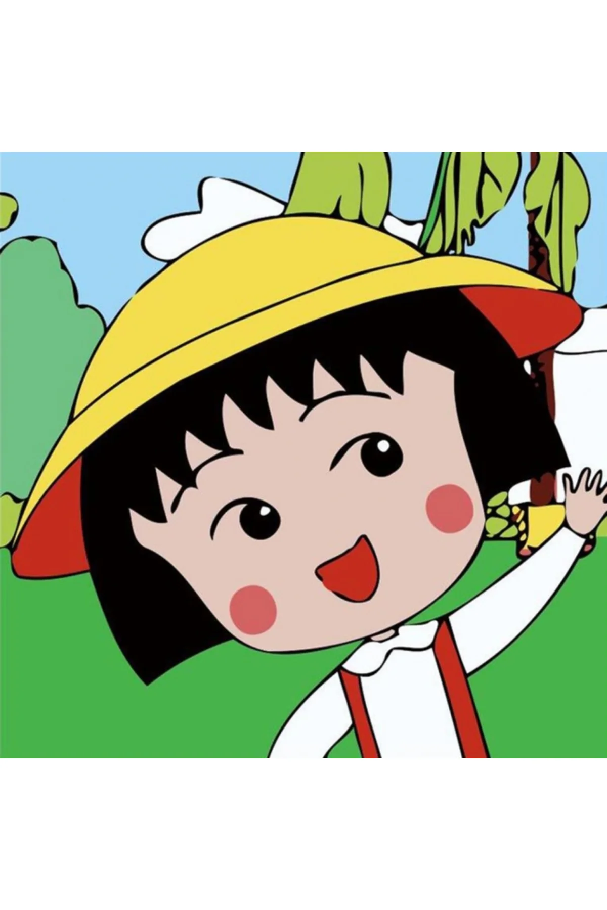 Canvas Heidi Sayılarla Boyama Seti Duvar Sticker Rulo 40 X 50 Cm