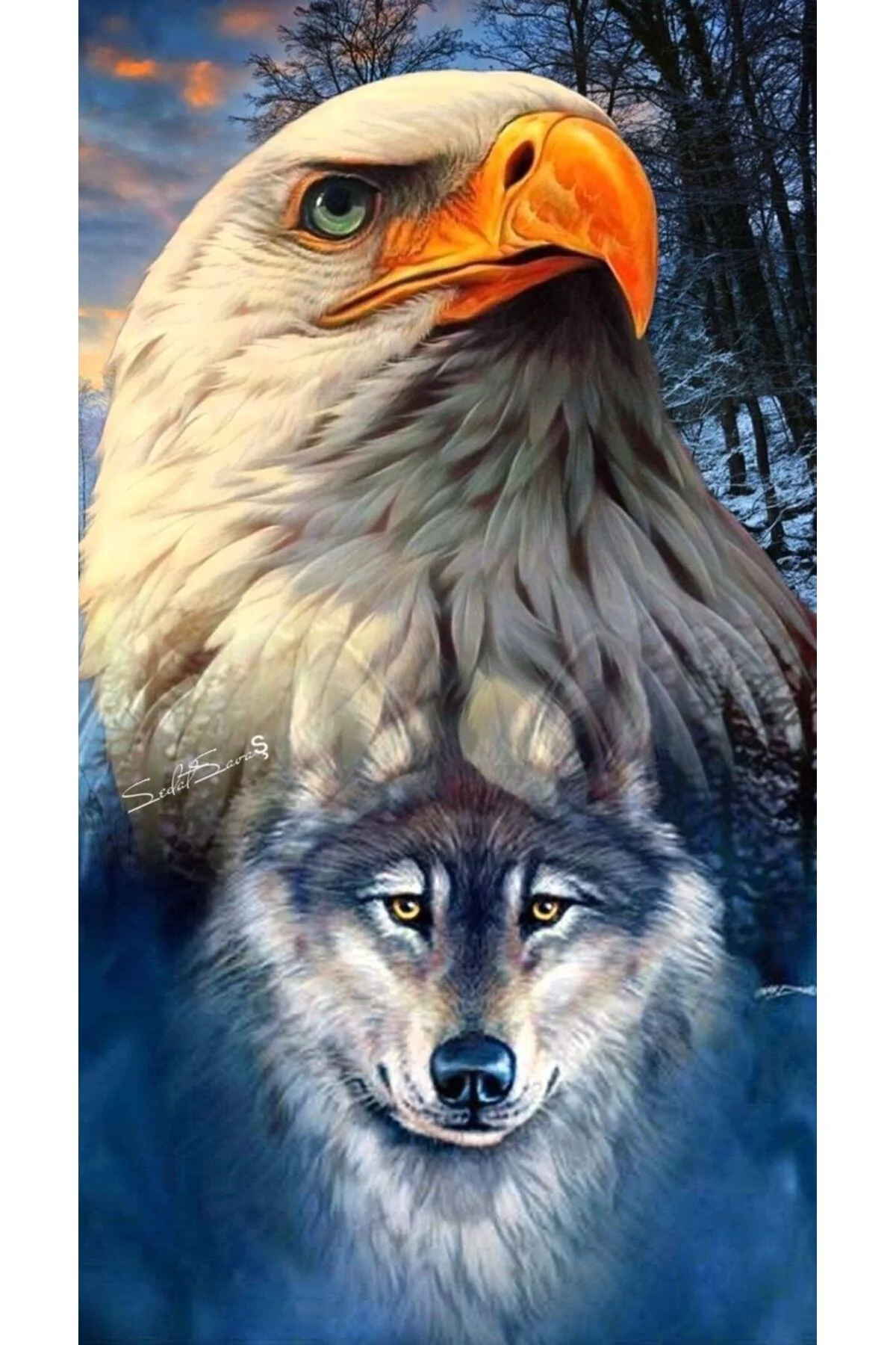 Canvas Kartal Ve Kurt Sayılarla Boyama SetiRulo