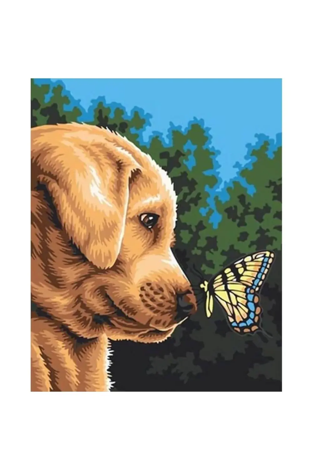 Canvas Kelebek ile Dost Sayılarla Boyama Seti Kasnaklı 90 x 110 c