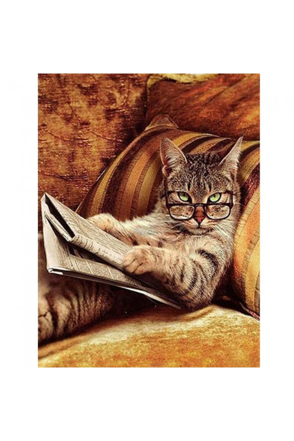 Canvas Keyfekeder Kedi Sayılarla Boyama Seti Duvar Sticker KASNAK