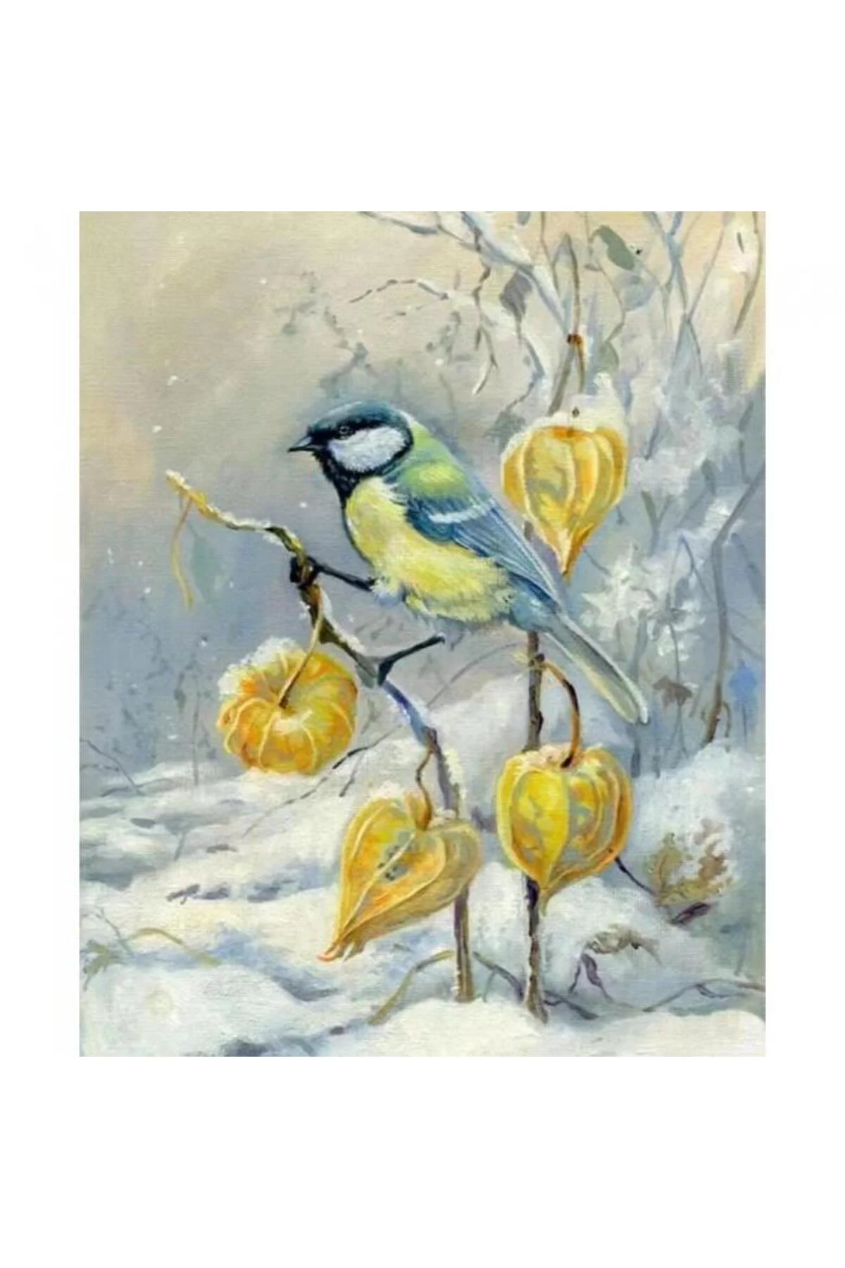 Canvas Kış Ve Kuş Sayılarla Boyama Seti Çerçevesiz Rulo