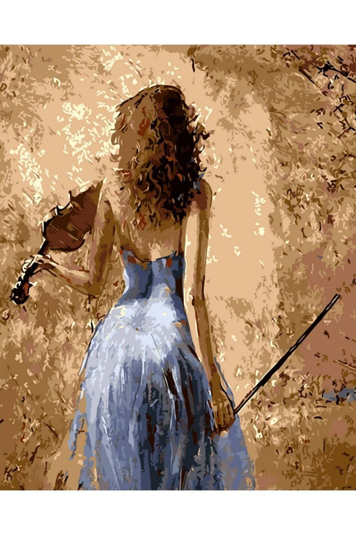 Canvas Kızıl Kemancı Sayılarla Boyama Seti Rulo