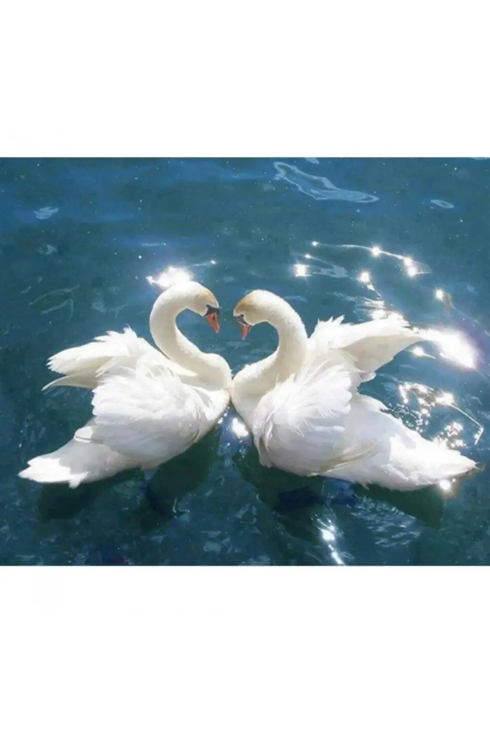 Canvas Kuğuların Aşkı Sayılarla Boyama Seti KASNAKLI DUVARA ASILA