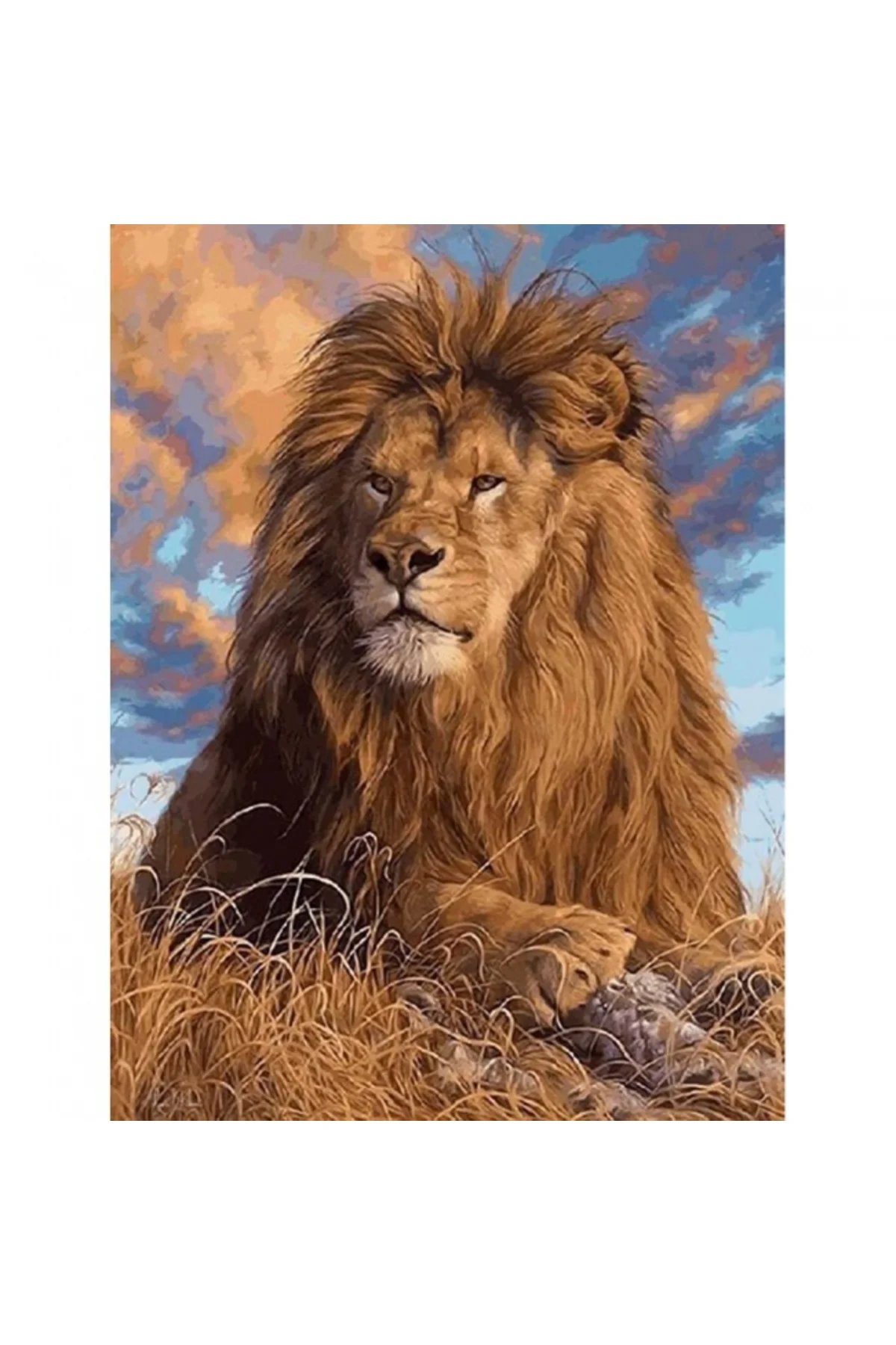 Canvas Lider Aslan Sayılarla Boyama Seti KASNAKLI DUVARA ASILABİLİR