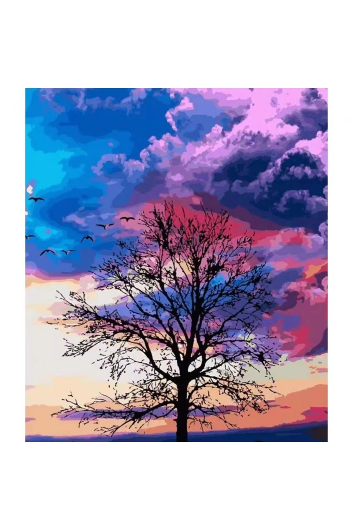 Canvas Mor Bulutlar Sayılarla Boyama Seti Çerçevesiz Rulo