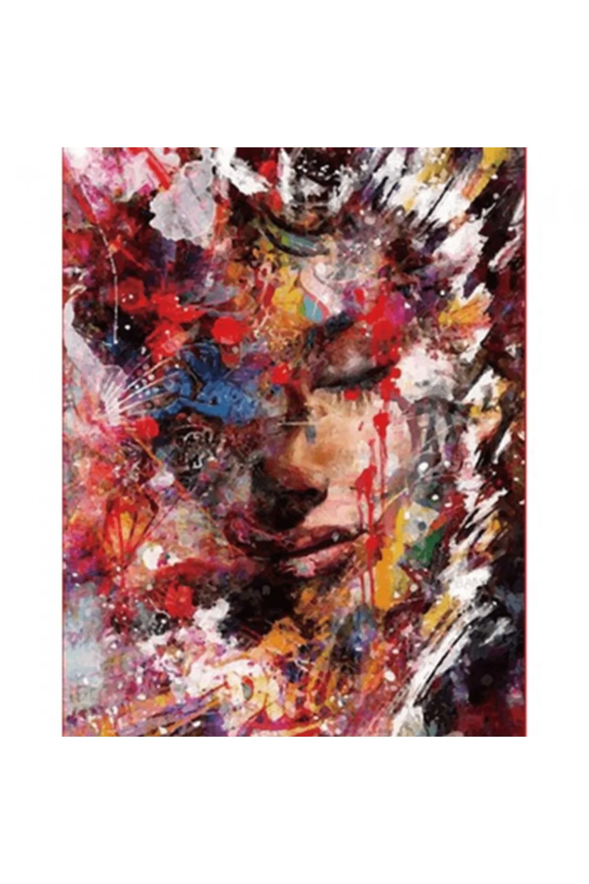 Canvas Renk Kraliçesi Sayılarla Boyama Seti  Kasnaklı 50 x 65 cm