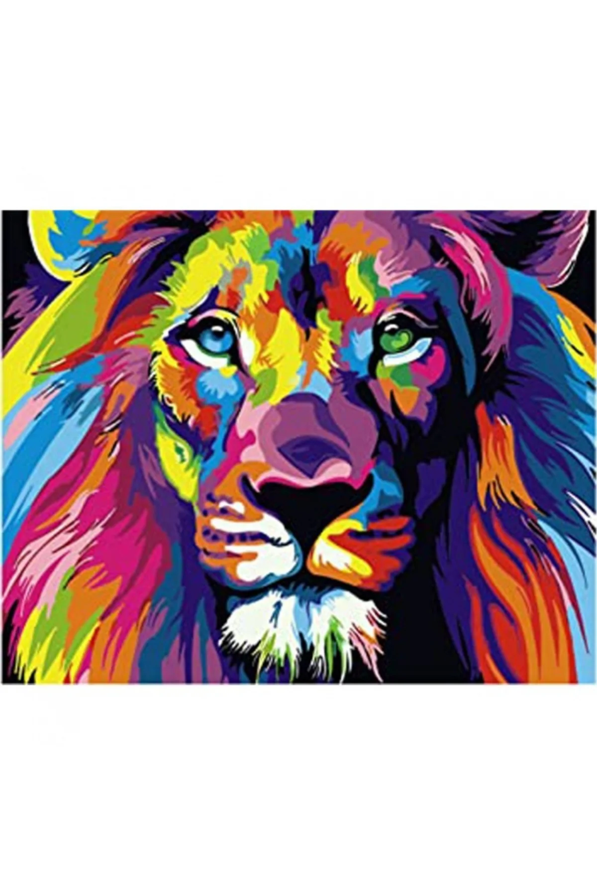 Canvas Renklerin Kralı Sayılarla Boyama Seti Çerçevesiz Rulo