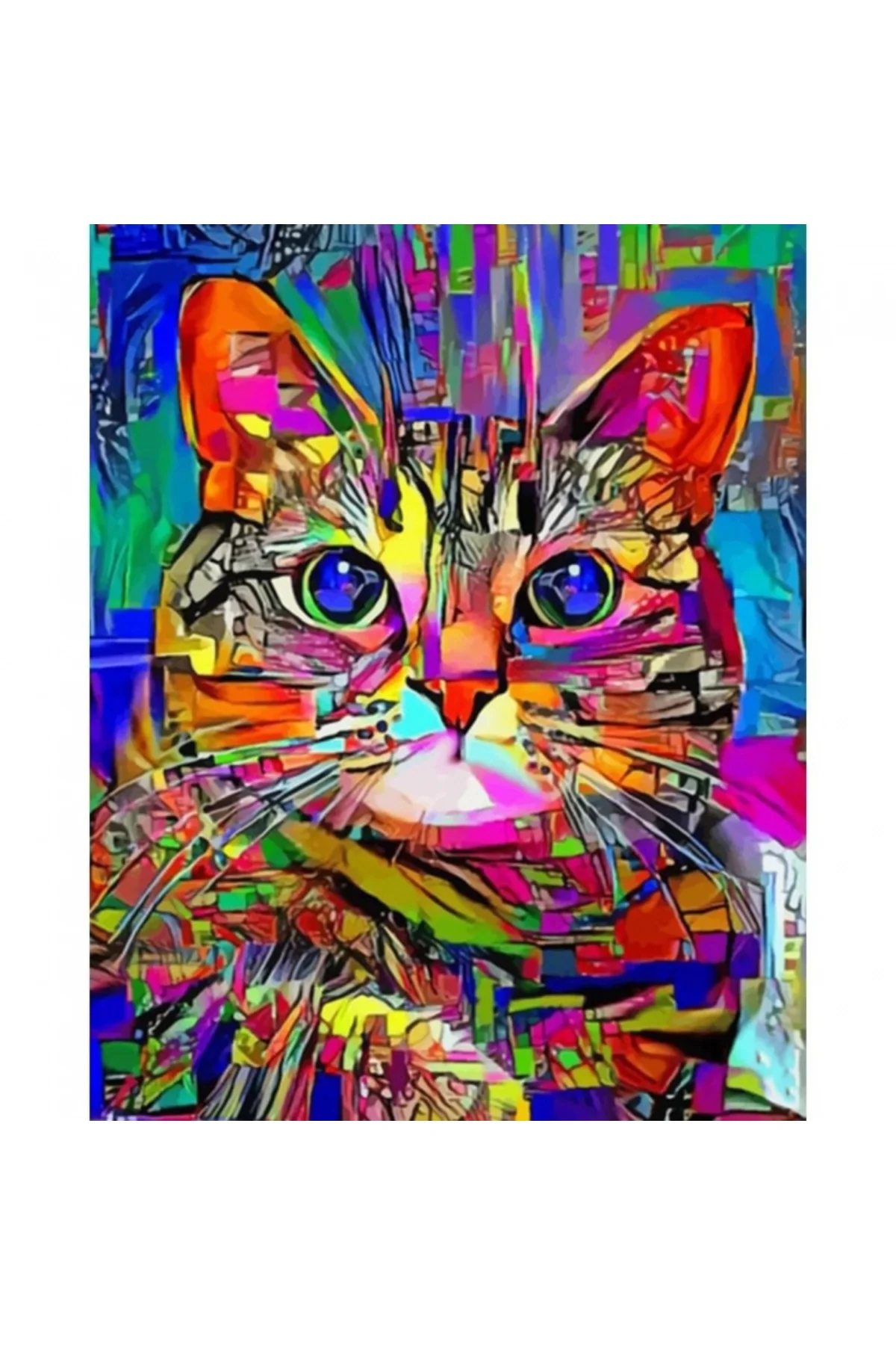 Canvas Renkli Kedi 2 Sayılarla Boyama Seti Kasnaklı 70x90 Cm