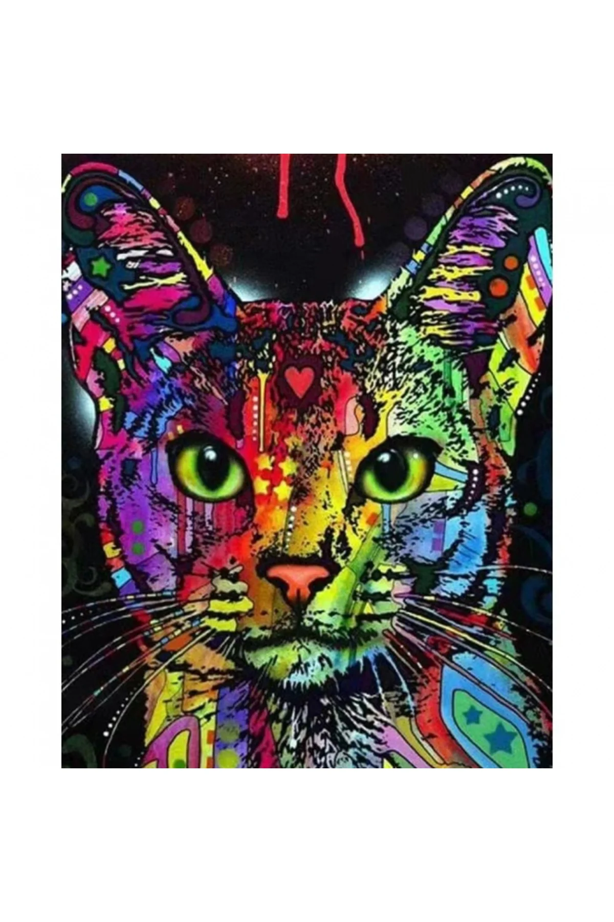 Canvas Renkli Kedi 3 Sayılarla Boyama Seti  Kasnaklı 40 x 50 cm
