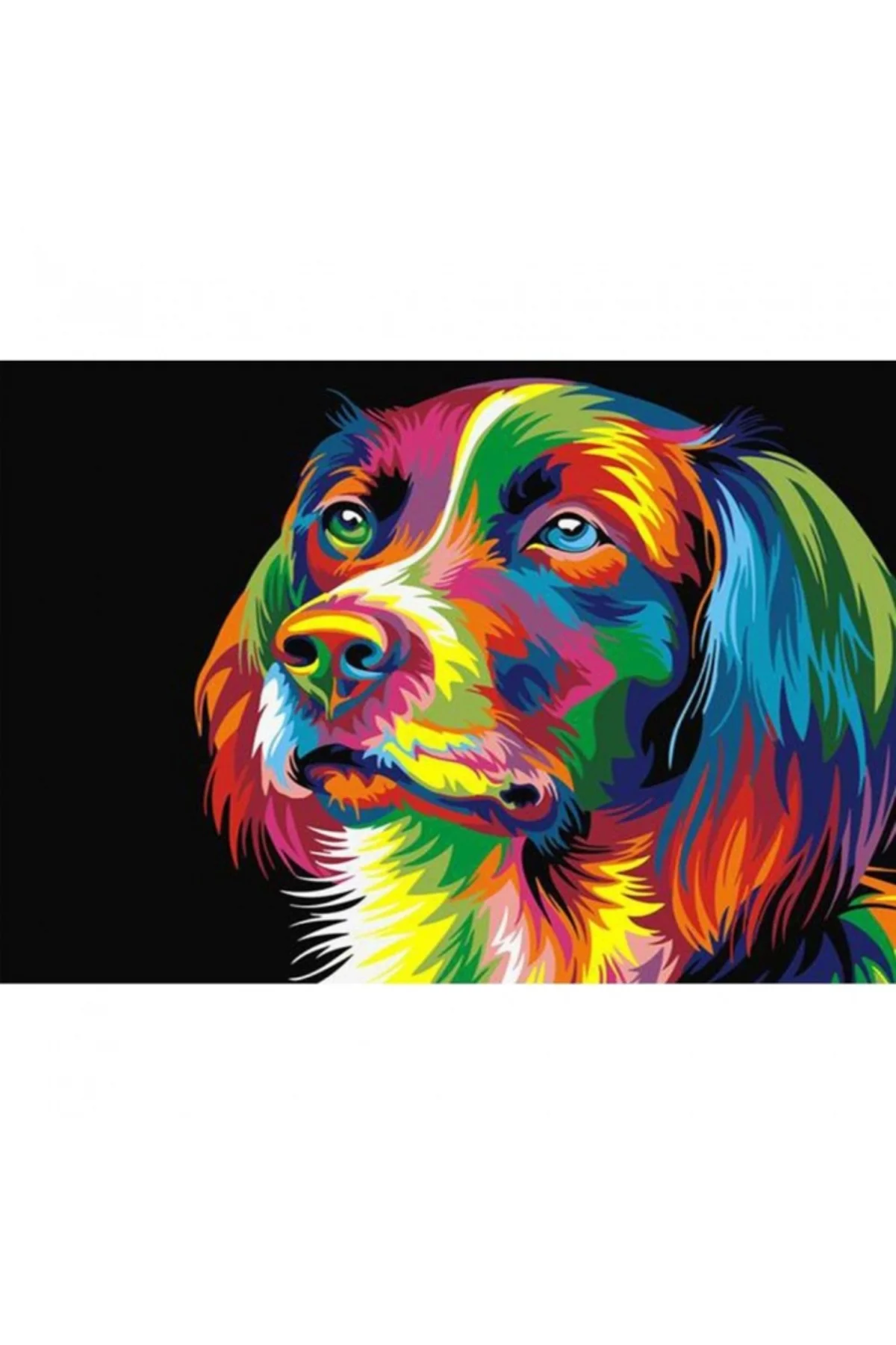 Canvas Renkli Köpek Sayılarla Boyama Seti Çerçevesiz Rulo