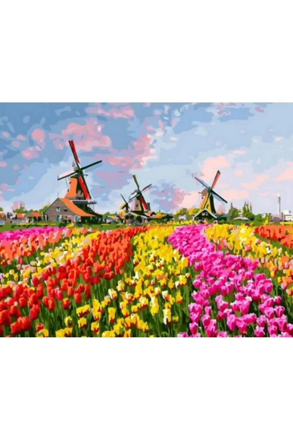 Canvas Renkli Laleler Ve Yeldeğirmenleri Sayılarla Boyama Seti Du