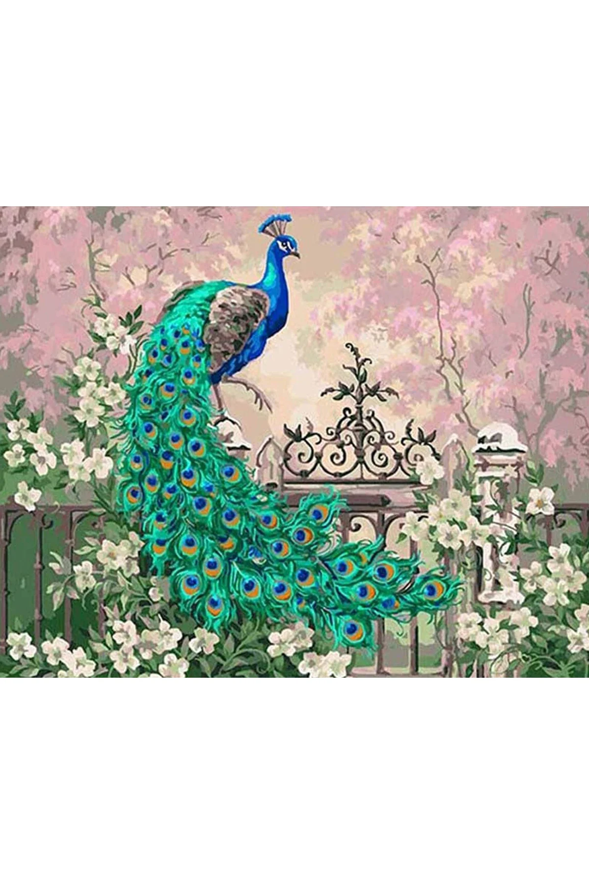 Canvas Renkli Tavuskuşu Sayılarla Boyama Seti Kasnaklı