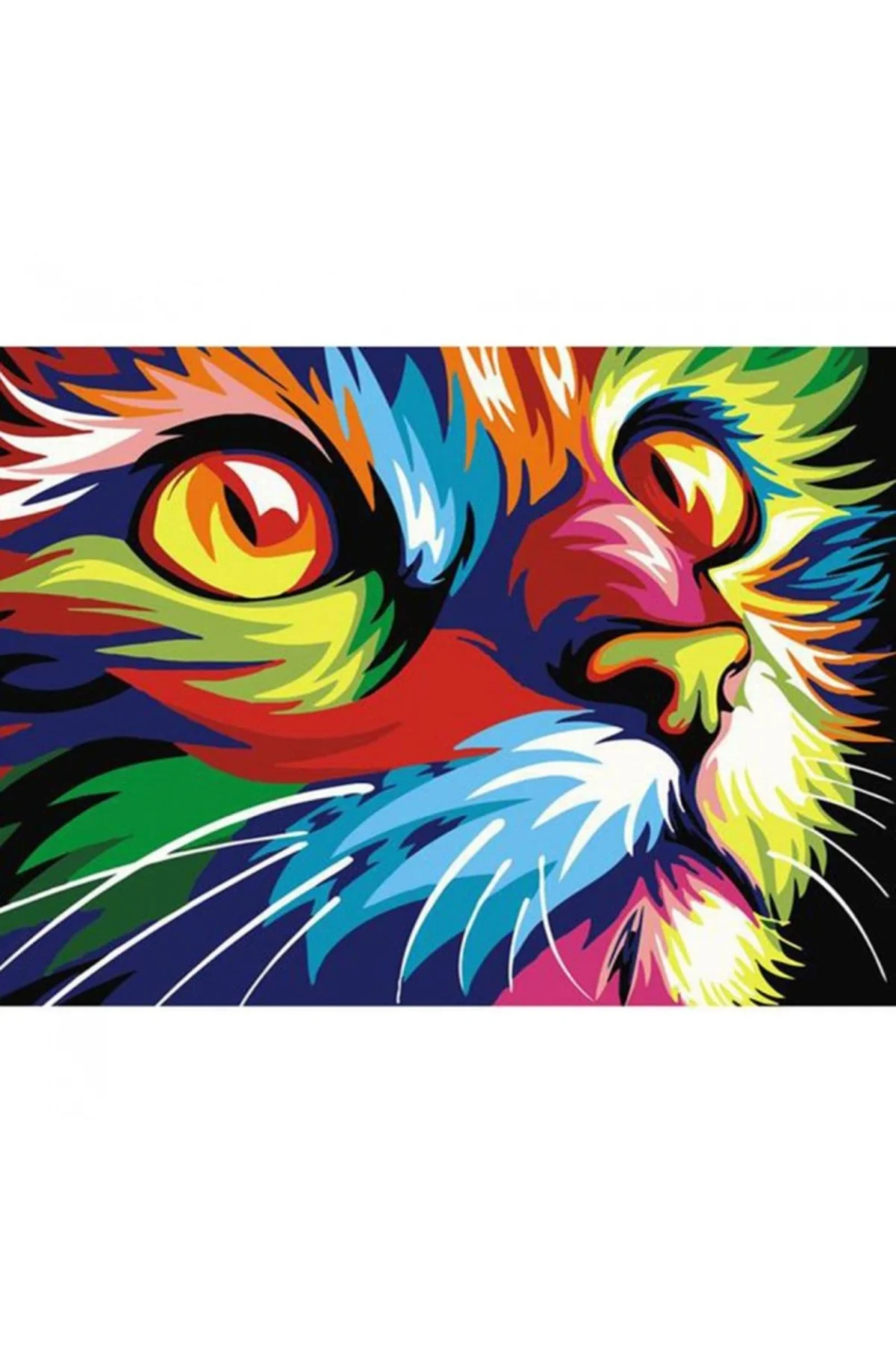 Canvas Renkli Tekir Sayılarla Boyama Seti  Kasnaklı 50 x 65 cm