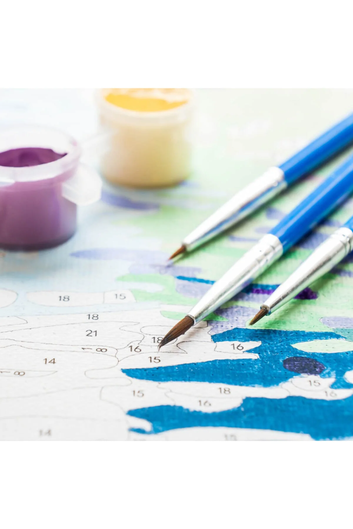 Canvas Sade Çiçekler 2 Sayılarla Boyama Seti Kasnaklı