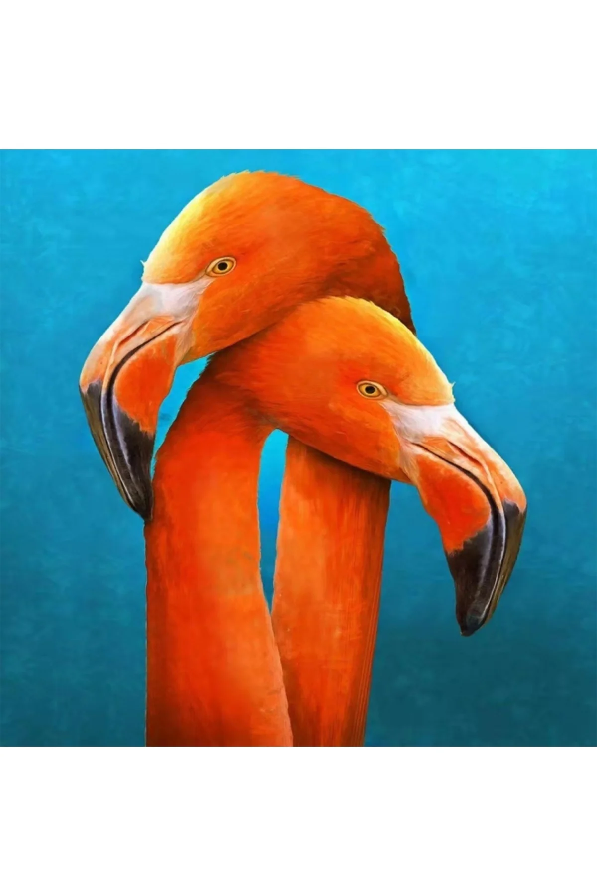 Canvas Sarilan Flamingo Sayılarla Boyama Seti Duvar Sticker KASNA