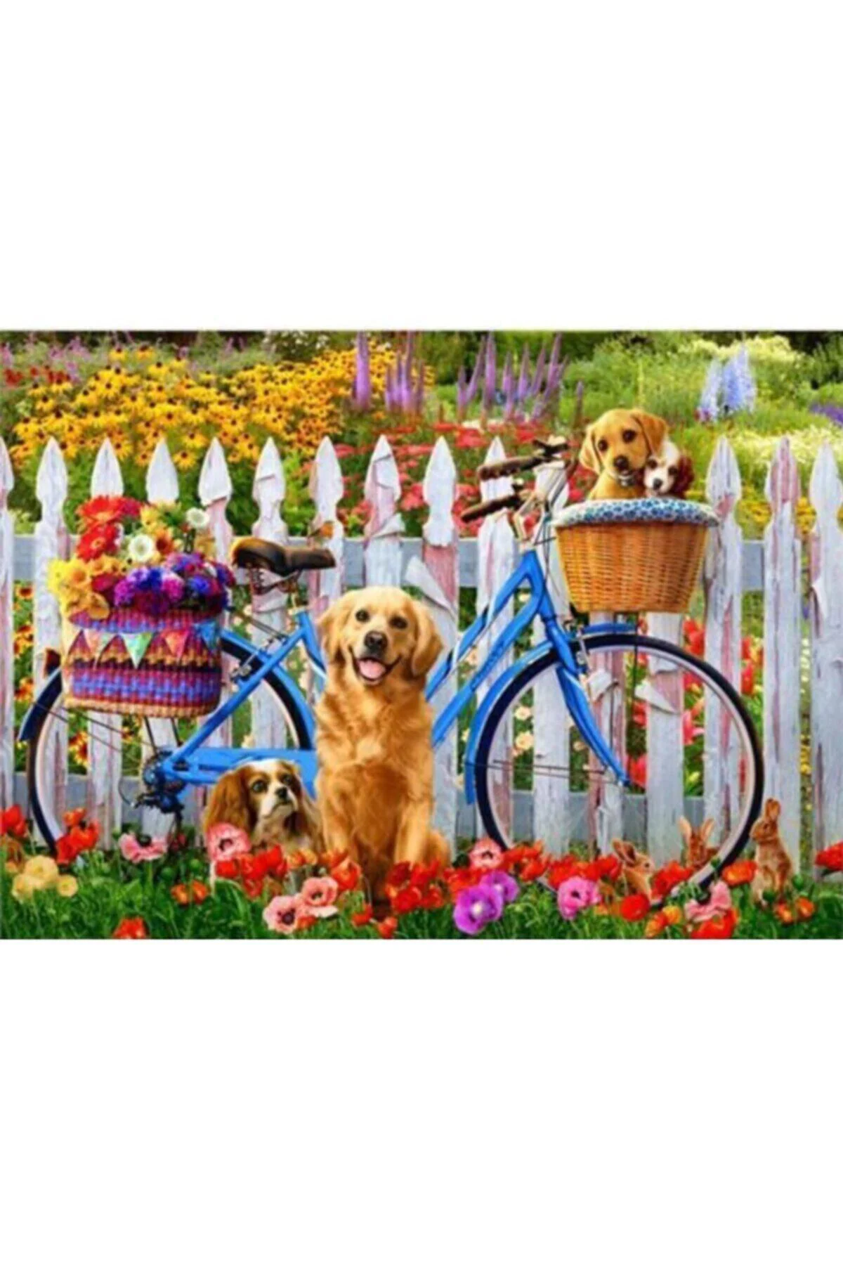 Canvas Sevimli Köpekler Ve Bisiklet Sayılarla Boyama Seti KASNAKLI DUVARA ASILABİLİR