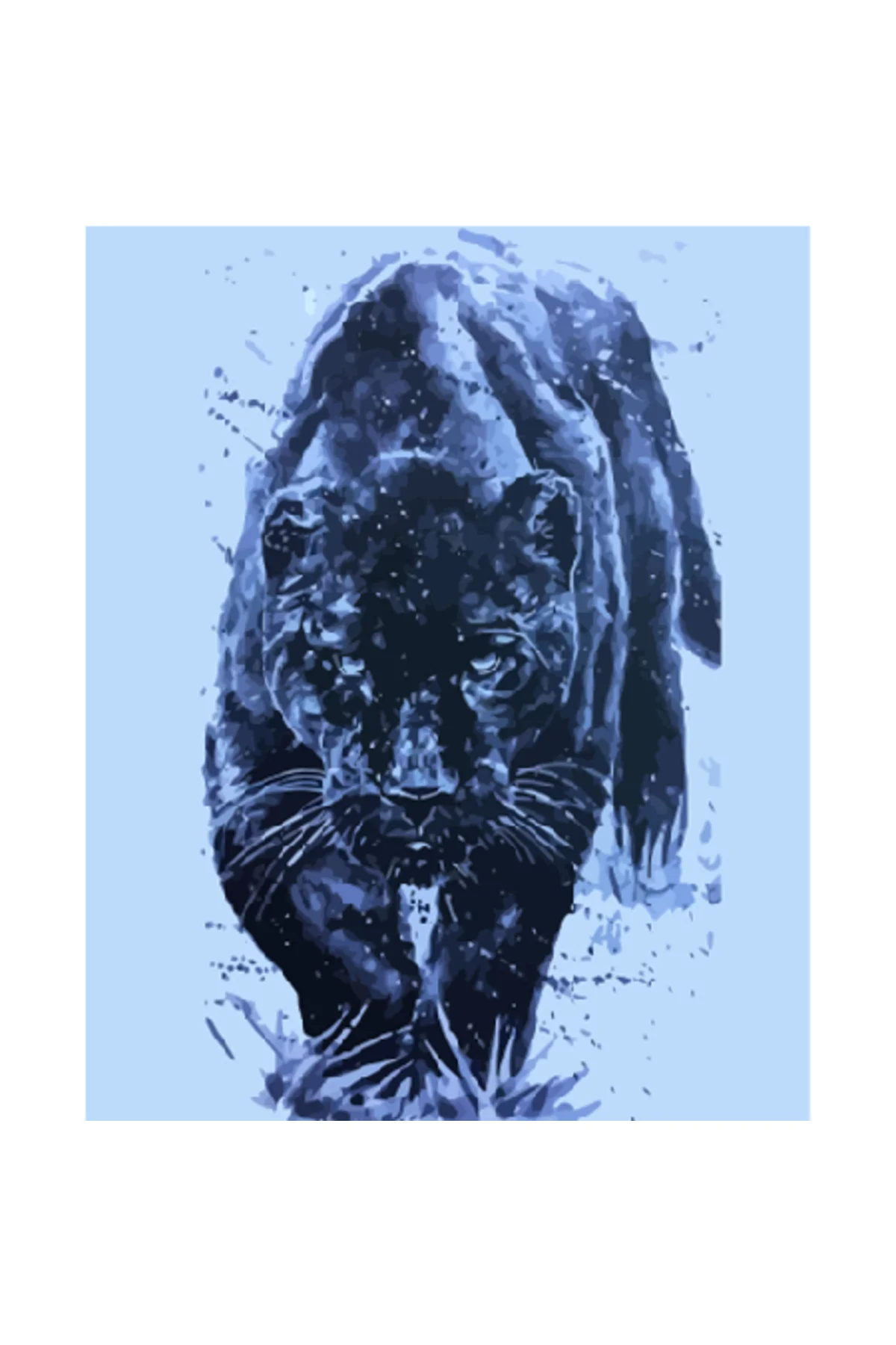 Canvas Siyah Kaplan Sayılarla Boyama Seti Kasnaklı