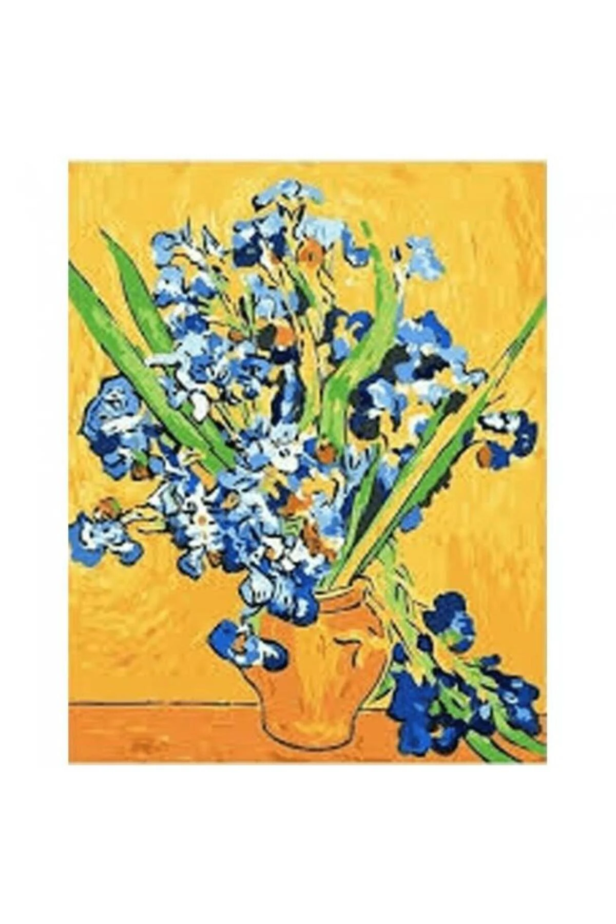 Canvas Van Gogh Süsen Sayılarla Boyama Seti KASNAKLI DUVARA ASILA