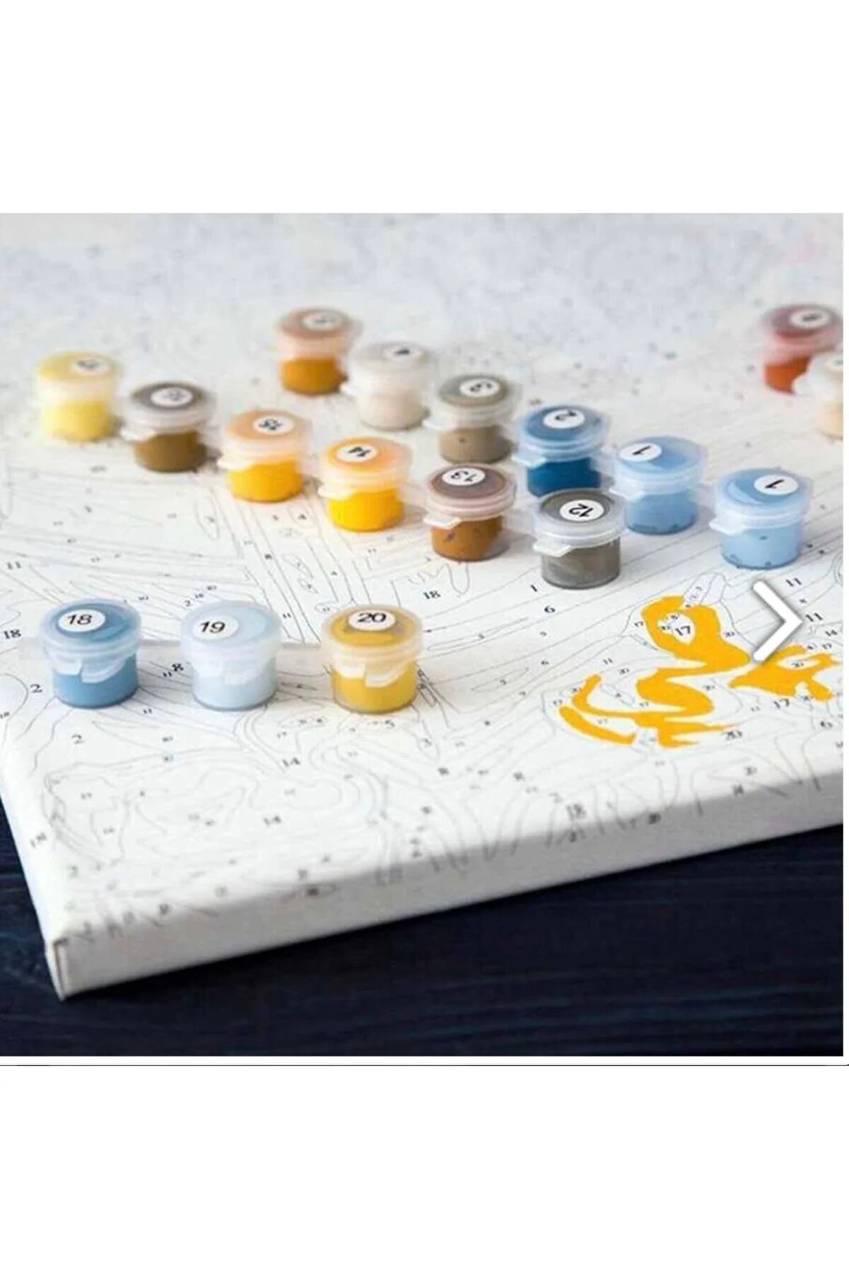 Canvas Vollard Sayılarla Boyama SetiRulo