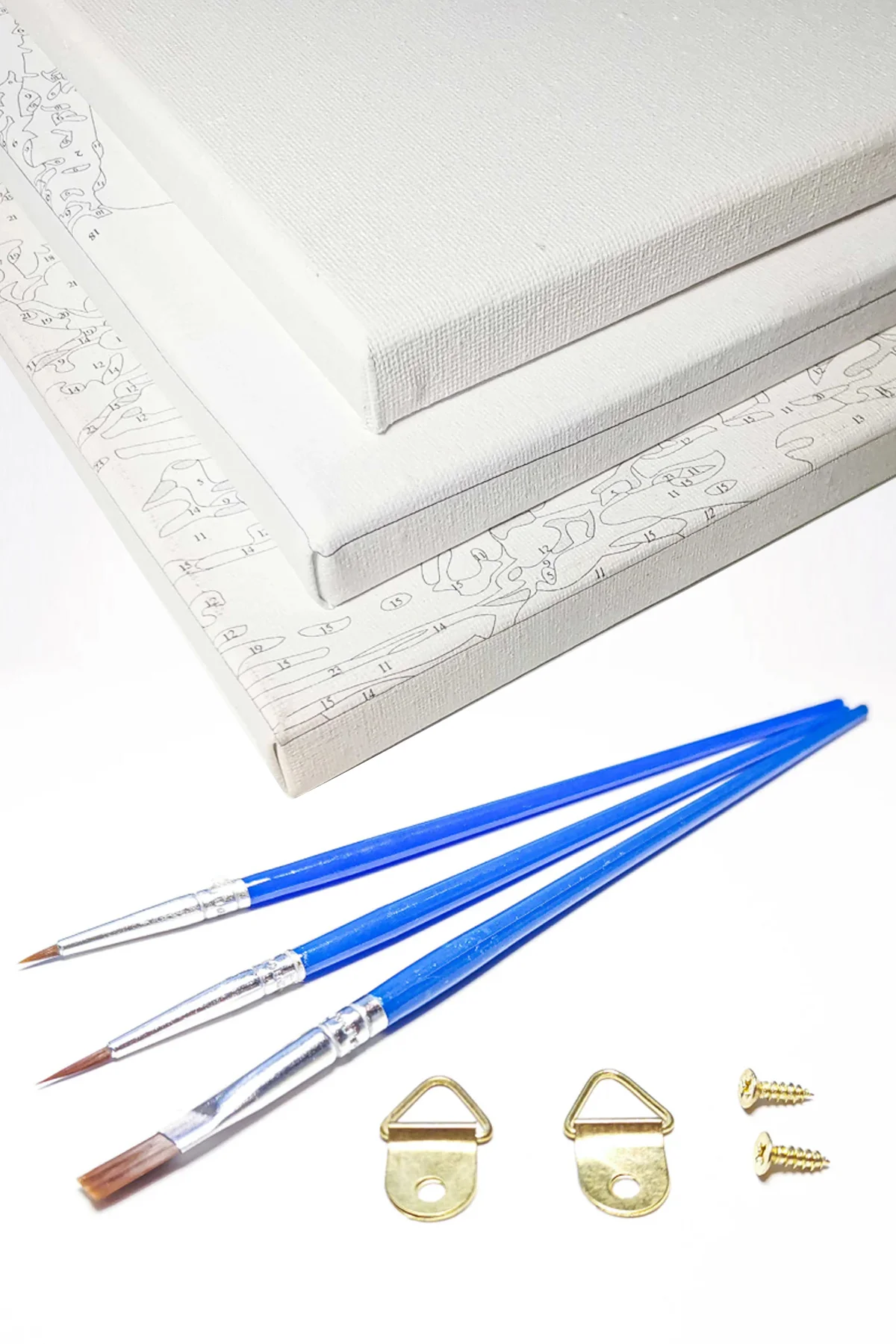 Canvas Yeşil Gözler Sayılarla Boyama Seti Kasnaklı 60 X 75 Cm