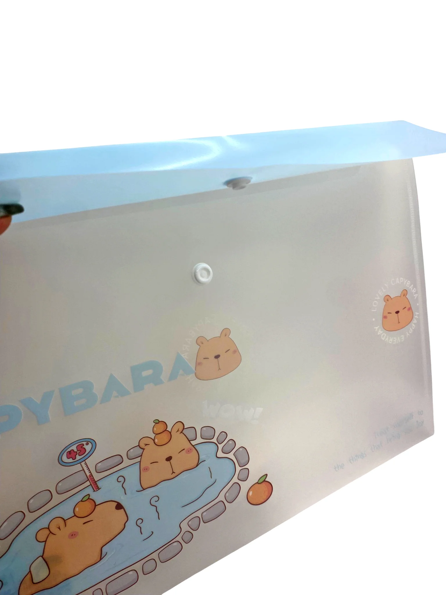 Capybara Mavi Çıt Çıtlı Zarf Dosya - 1 Adet