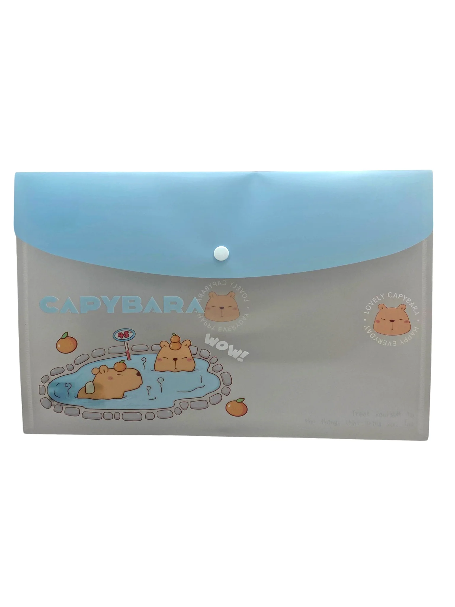 Capybara Mavi Çıt Çıtlı Zarf Dosya - 1 Adet
